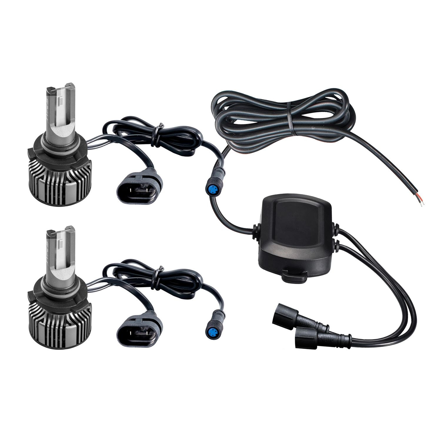 TYPE S LED Bulb LM58259-60-6 | AutoZone