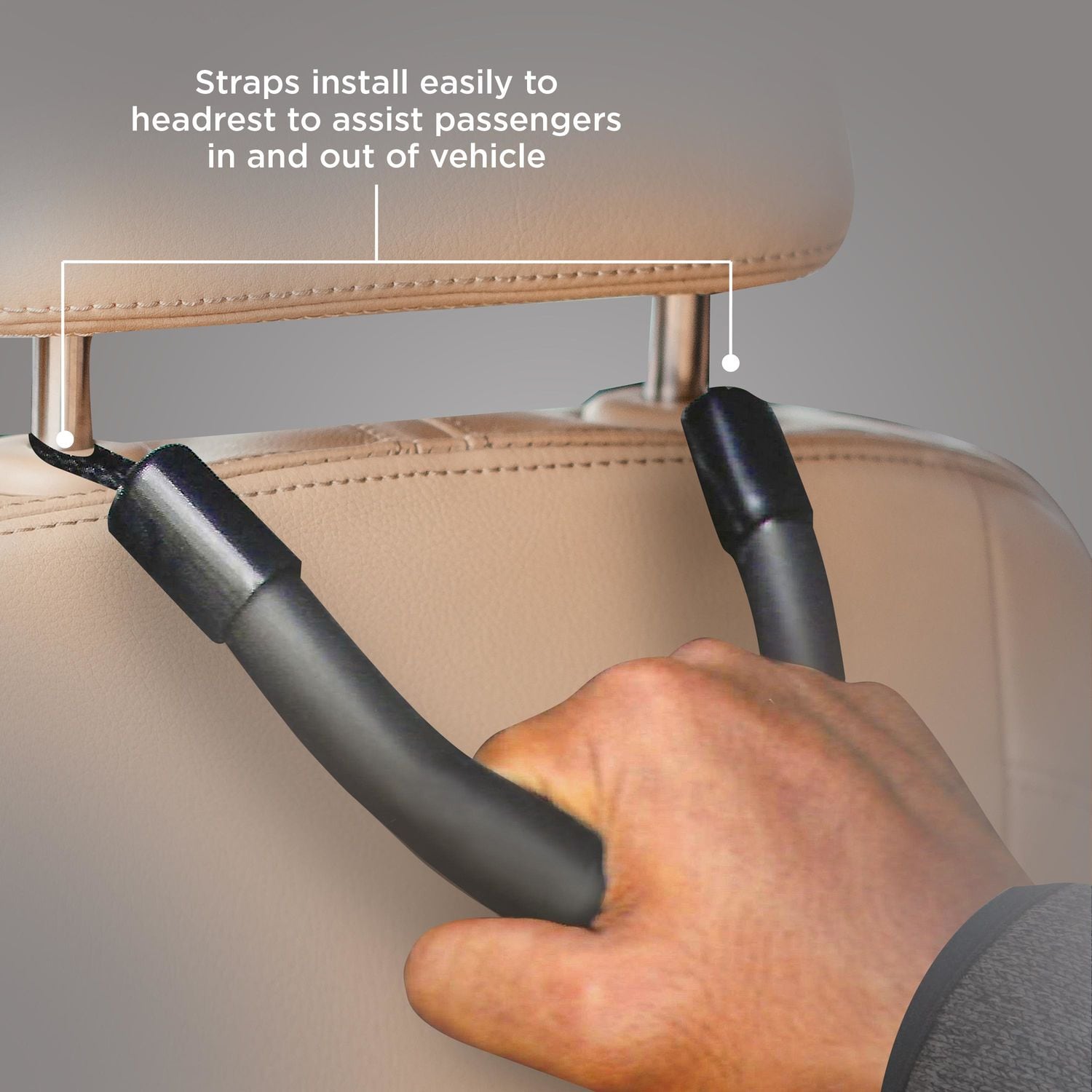 ProElite Interior Grab Bar IM001276832AZ | AutoZone