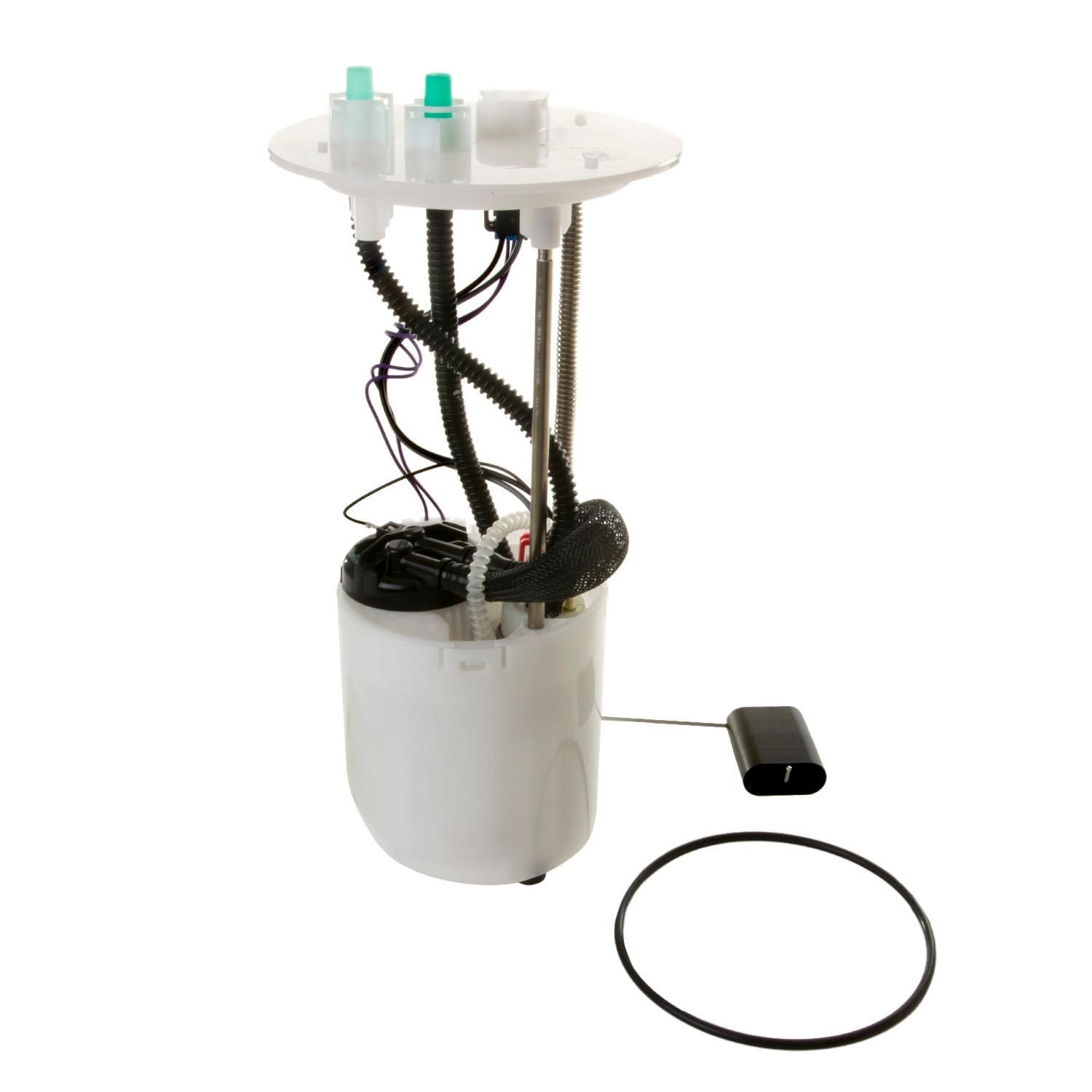 Delphi Fuel Pump Module Assembly DFG0919 | AutoZone