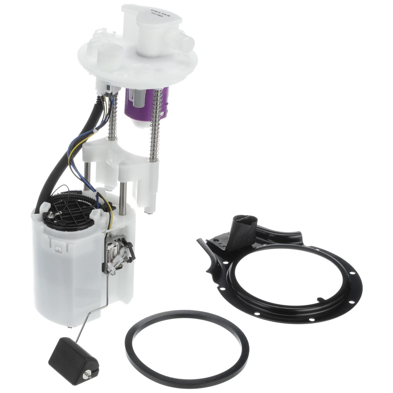 Delphi Fuel Pump Module Assembly DFG1969 | AutoZone