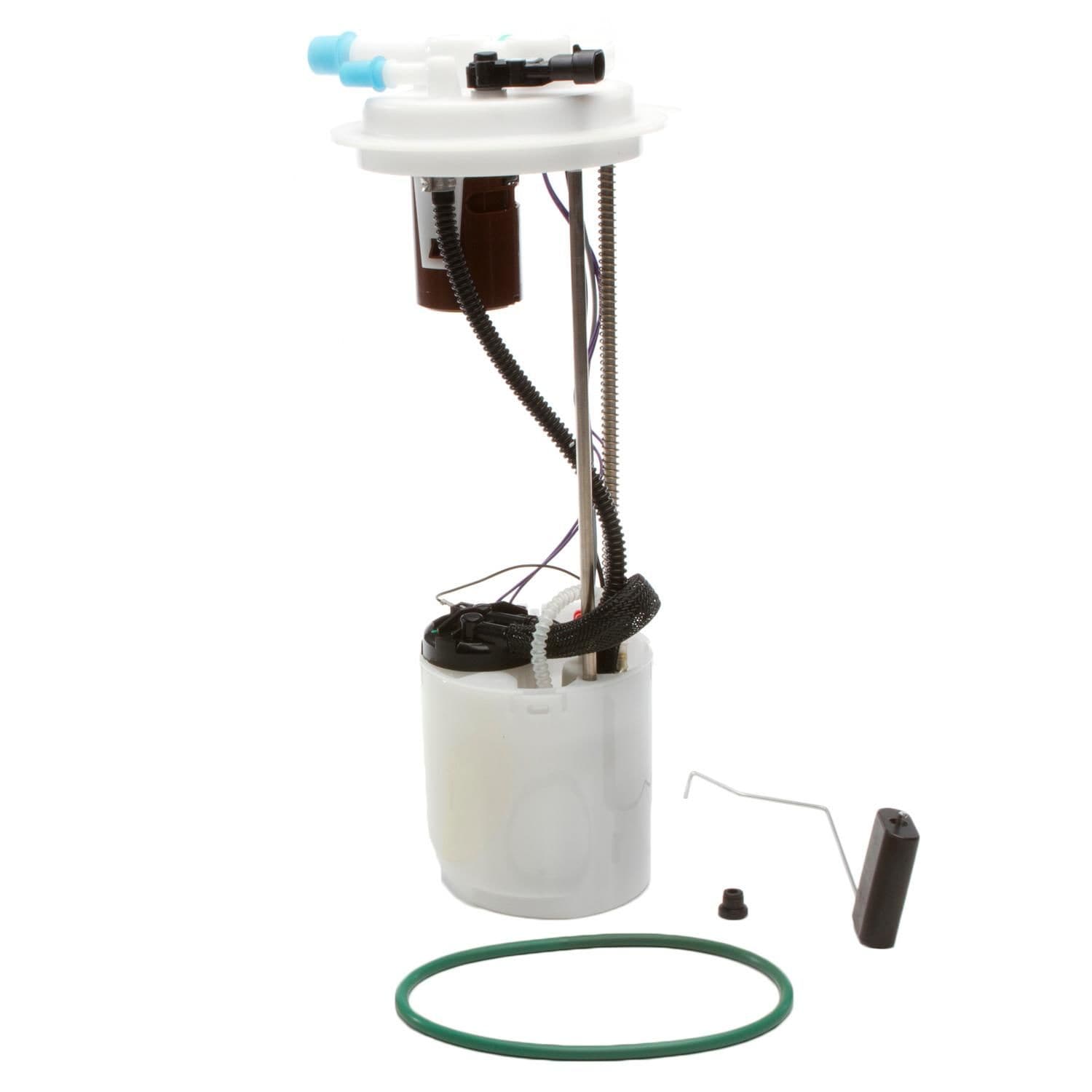 Delphi Fuel Pump Module Assembly EFG0907 | AutoZone