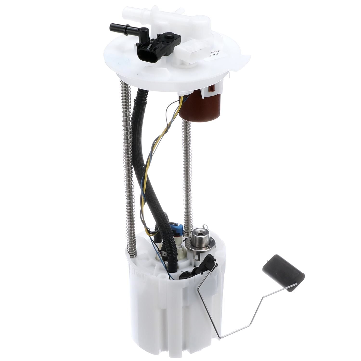 Delphi Fuel Pump Module Assembly EFG1831 | AutoZone