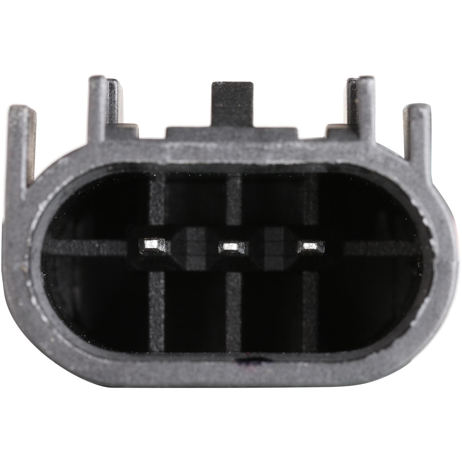 Carquest Premium Fuel Pump Module Assembly: Fuel Pump, Sending Unit Wiring Harness And Strainer 8154d3b2 2ac1 448b 813b 25a069909bac.925707898d7ee451084a84ba477000c6