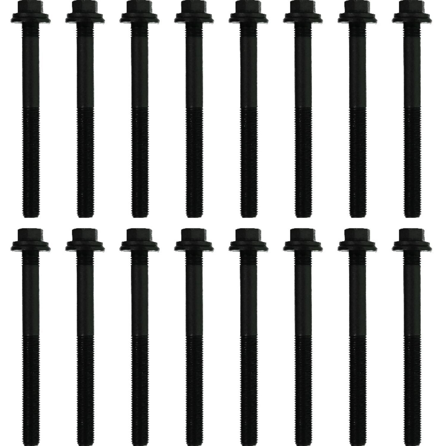 Victor Reinz Head Bolt Set 14-10415-01 | AutoZone