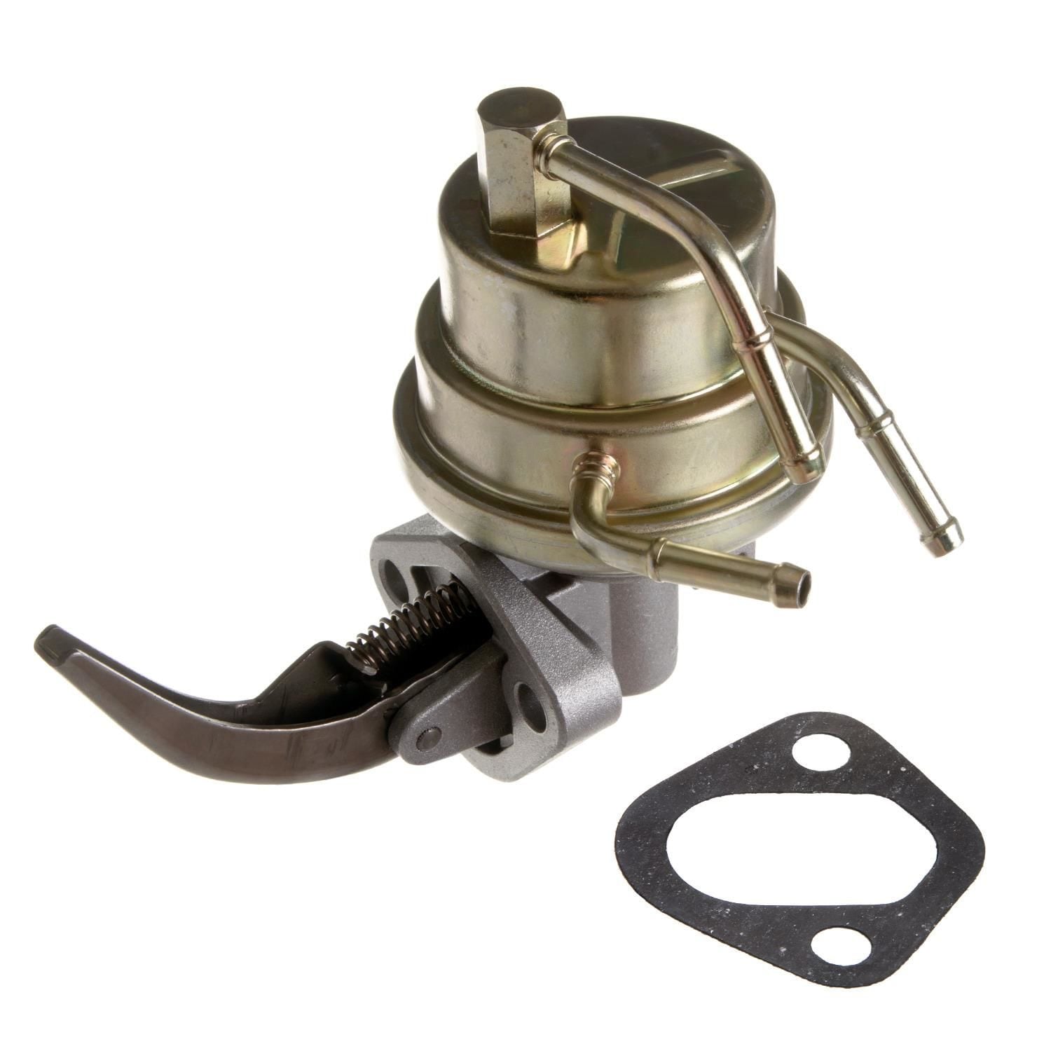 ペルー産　アブソロニーモルフォ　96mm Delphi Mechanical Fuel Pump AMF0003 | AutoZone