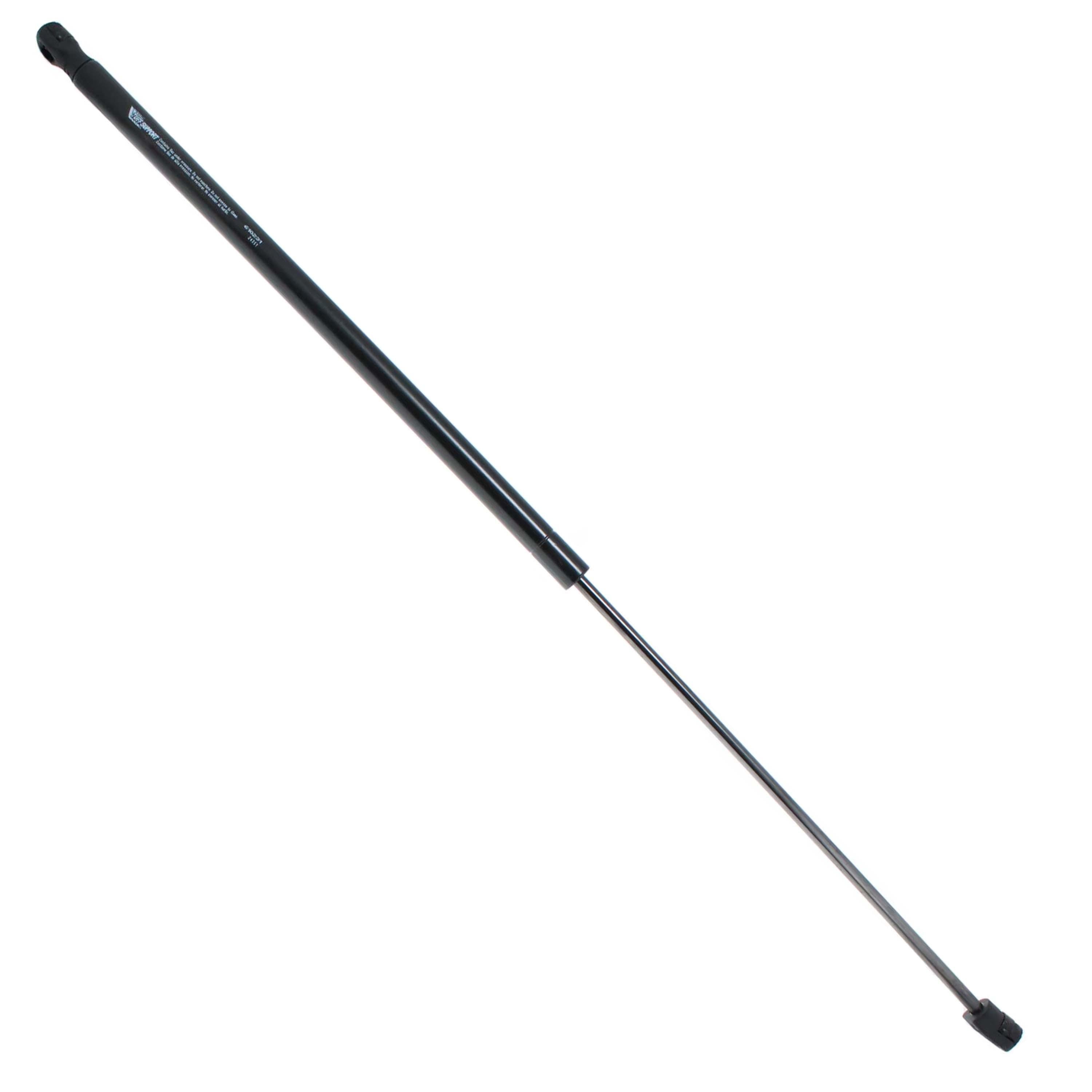 Duralast Hood Lift Support for Honda accord