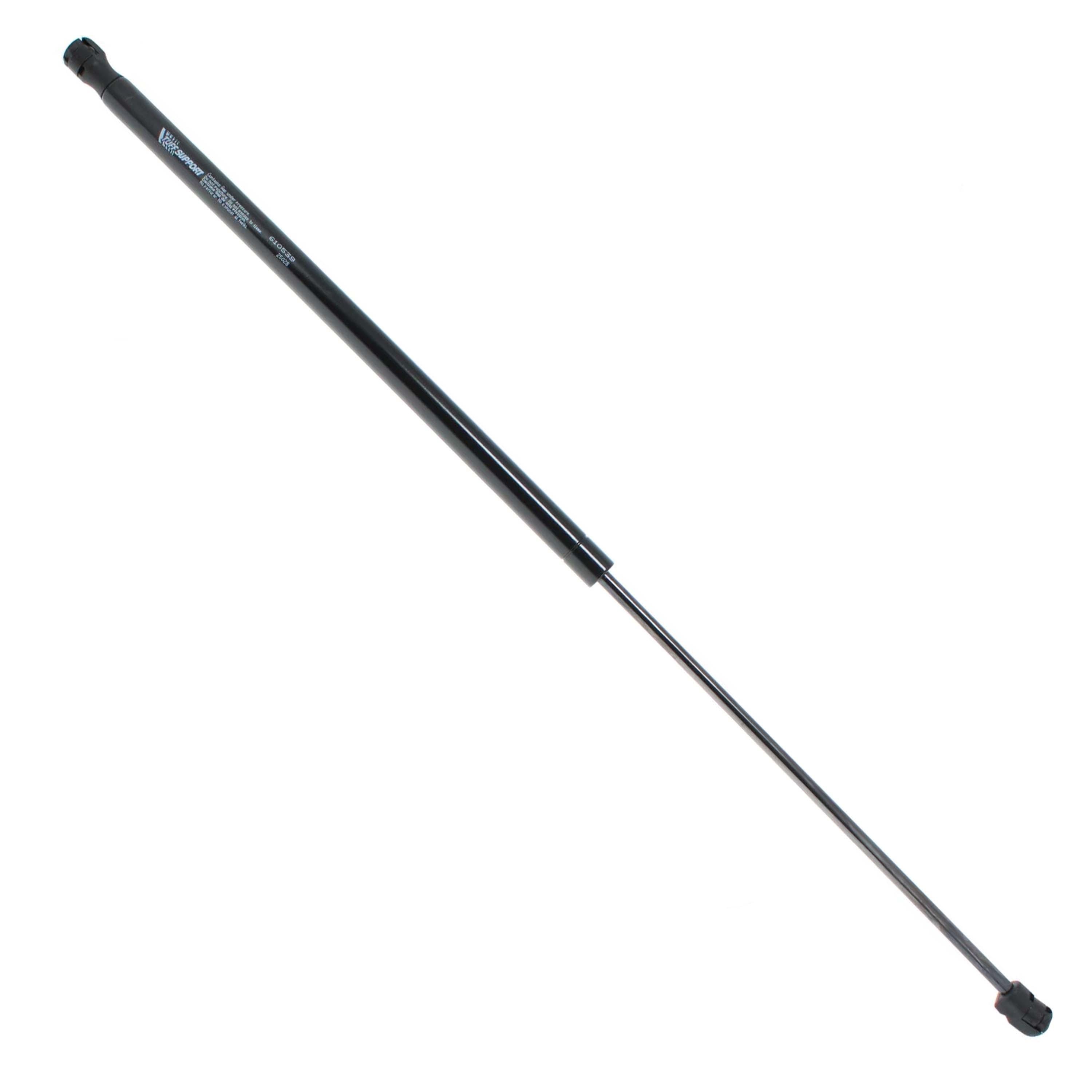 Duralast Hood Lift Support for Honda accord