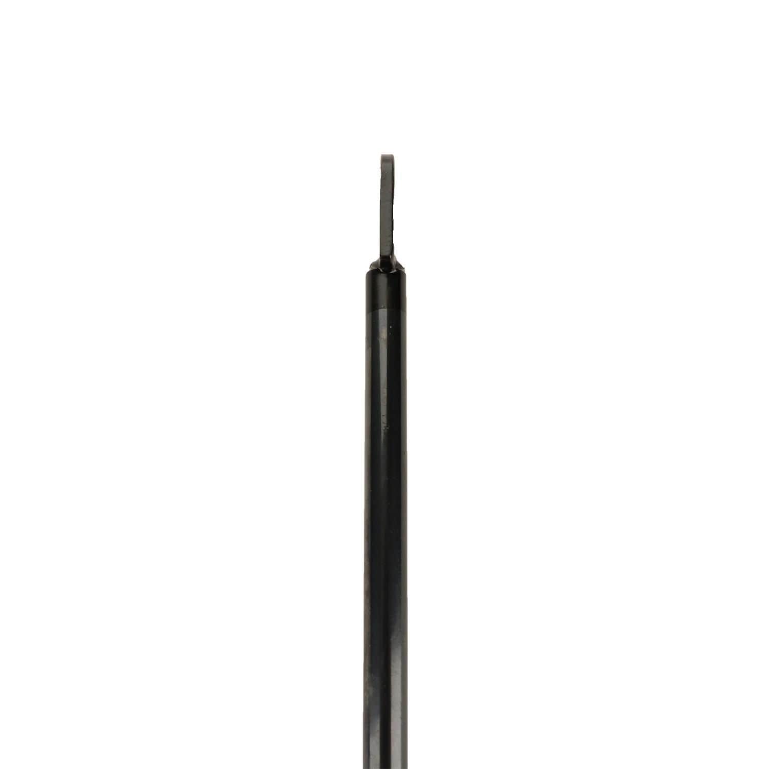 Duralast Trunk Lid Lift Support DL10989C | AutoZone