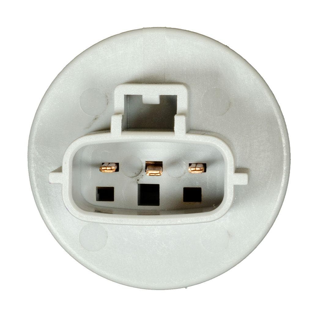Auveco Exterior Light Bulb Socket 25291 | AutoZone