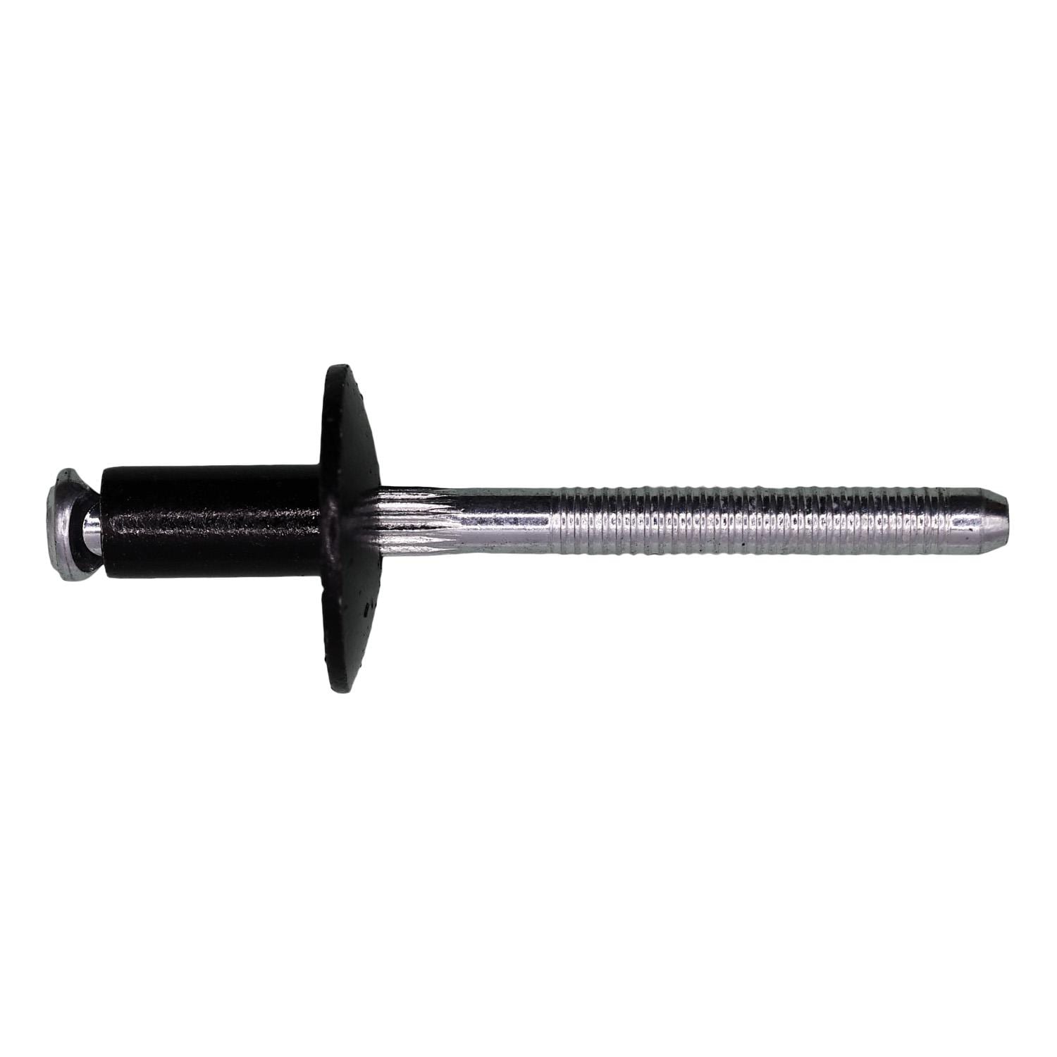 Auveco Rivet 18167 | AutoZone