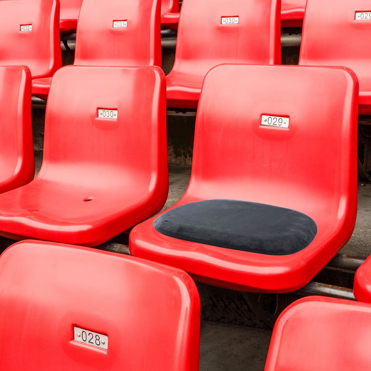 Type S Accessories Heated Seat Cushion