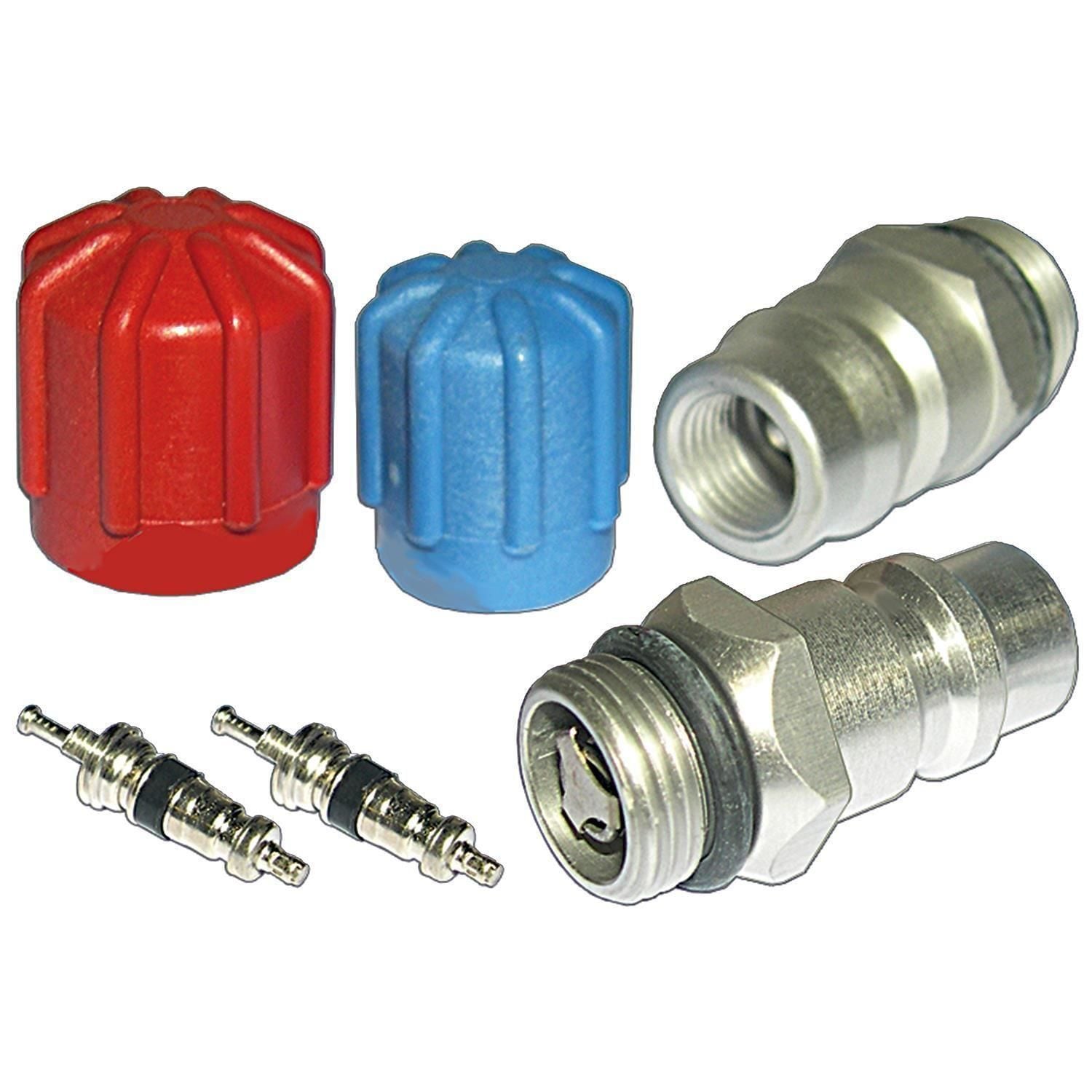 Santech A/C System Valve Core and Cap Kit MT2904 | AutoZone