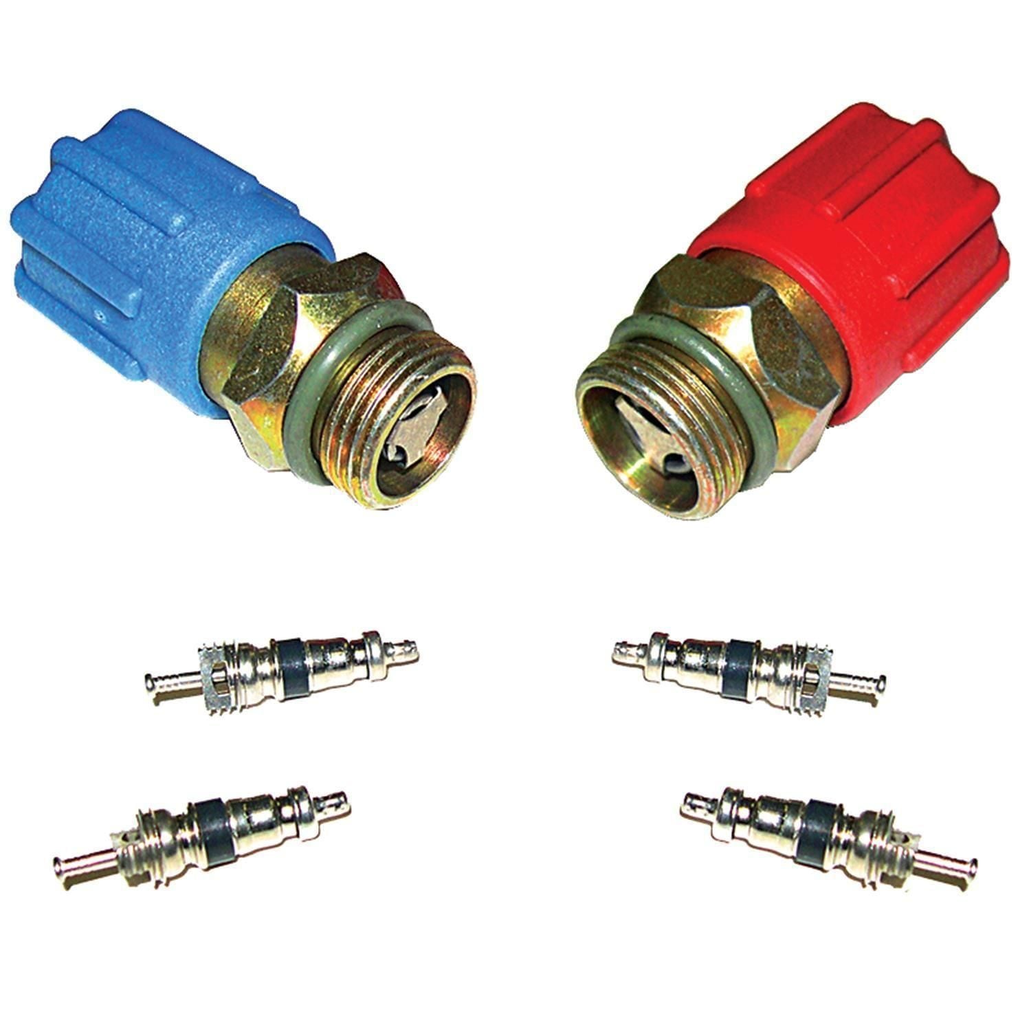 Santech A/C System Valve Core and Cap Kit MT2910 | AutoZone