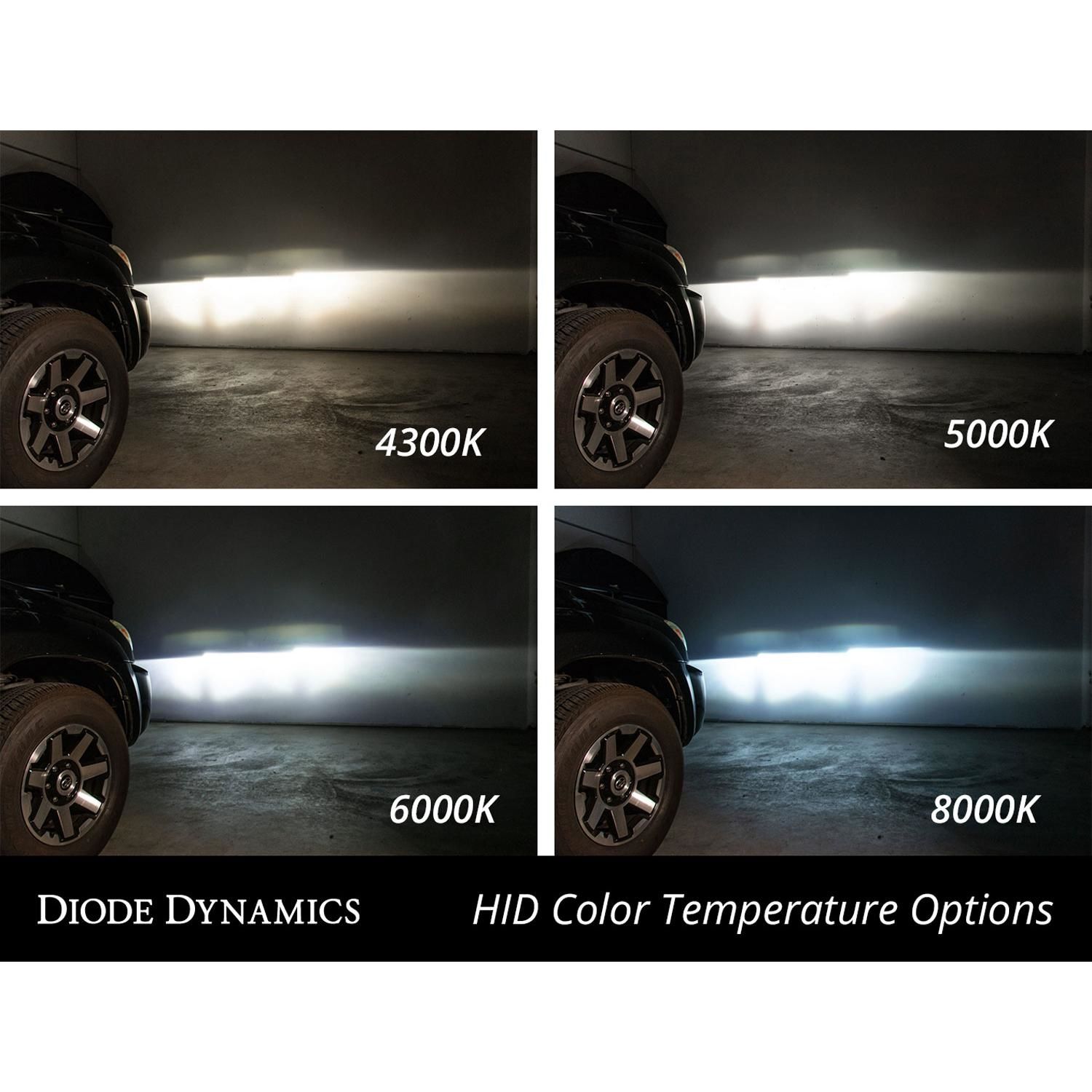 Diode Dynamics Headlight Bulb Set DD1041P | AutoZone