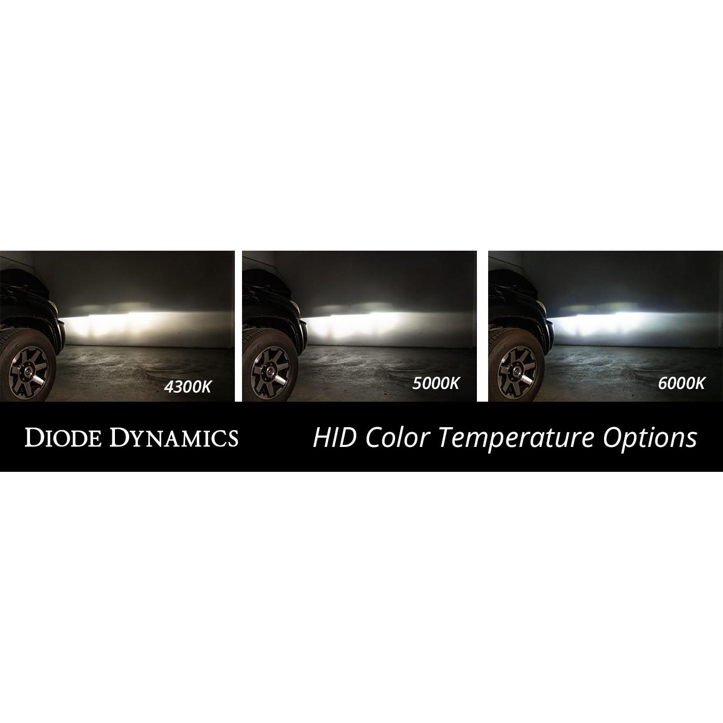 Diode Dynamics LED Bulbs | AutoZone