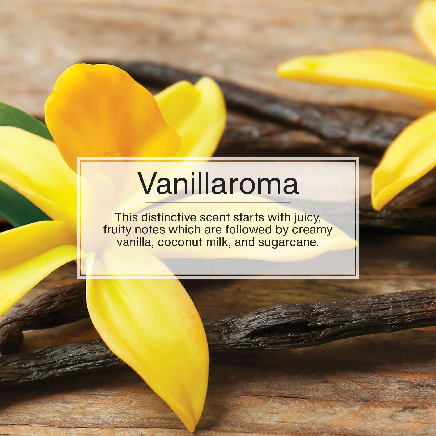 LITTLE TREES Vanillaroma Scent Hanging Air Freshener 4 Pack | AutoZone