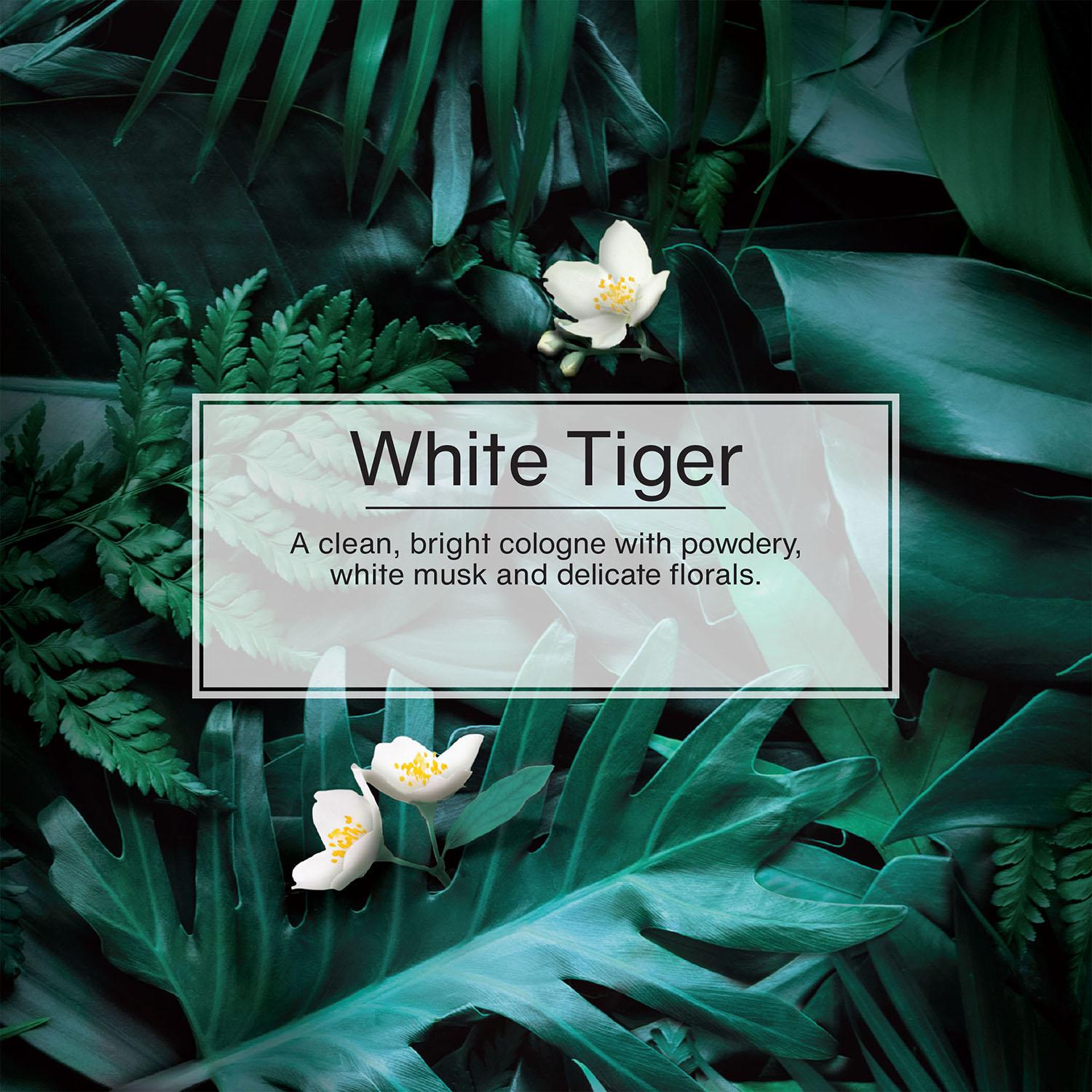 Little Trees White Tiger Scent Hanging Air Freshener 3 Pack | AutoZone