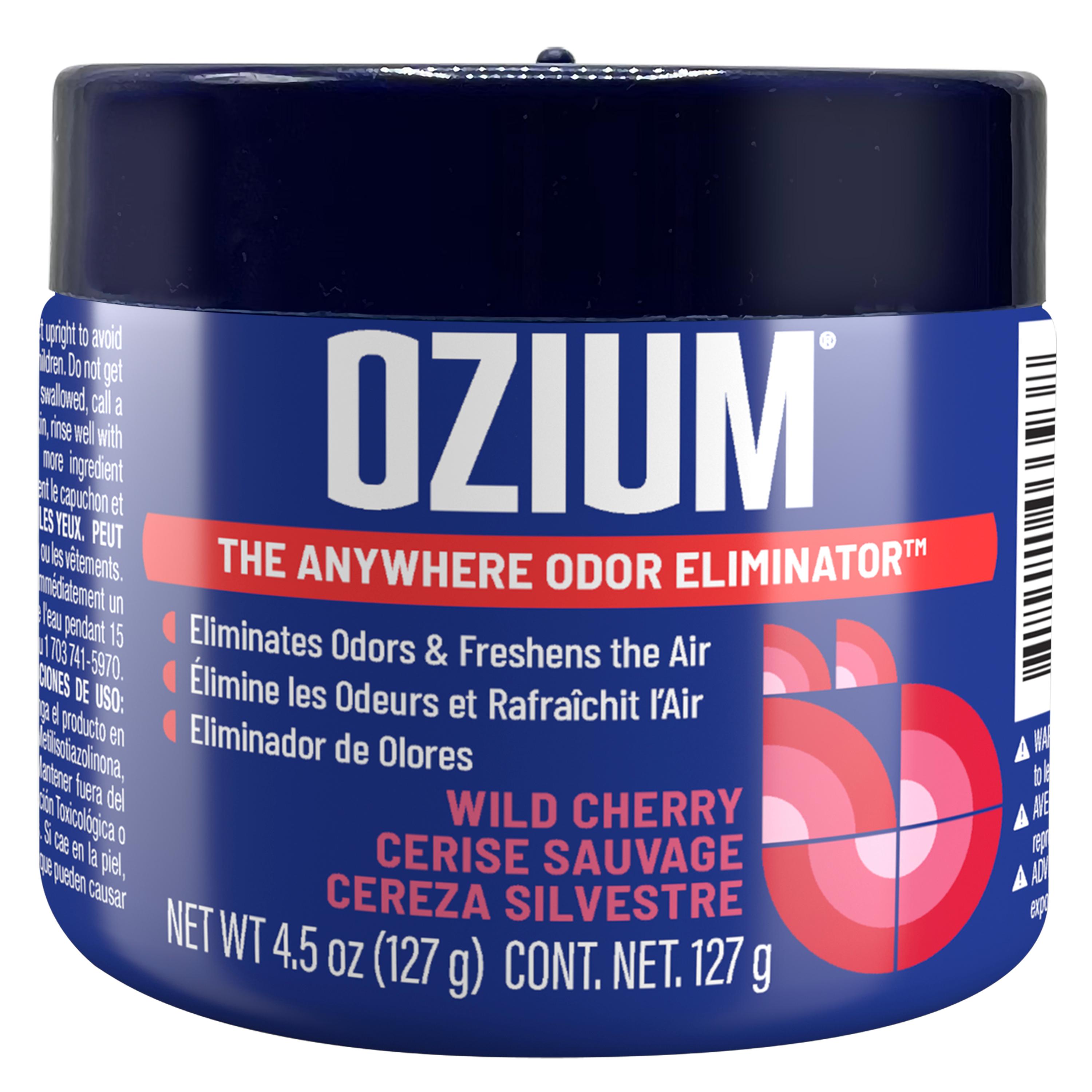 Ozium Air Freshener OZM-15 | AutoZone