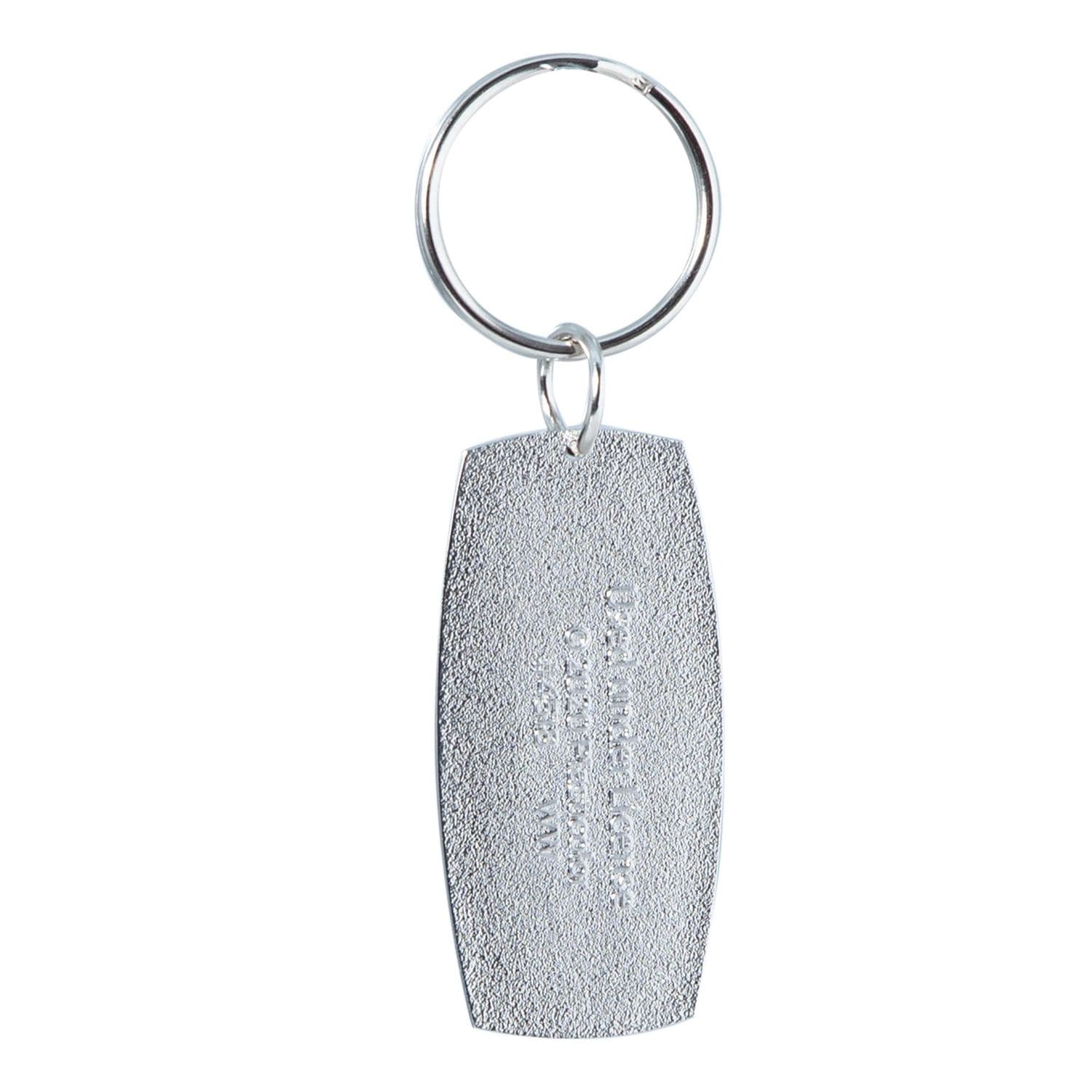 Plst Color Plasticolor Nissan Key Chain | AutoZone