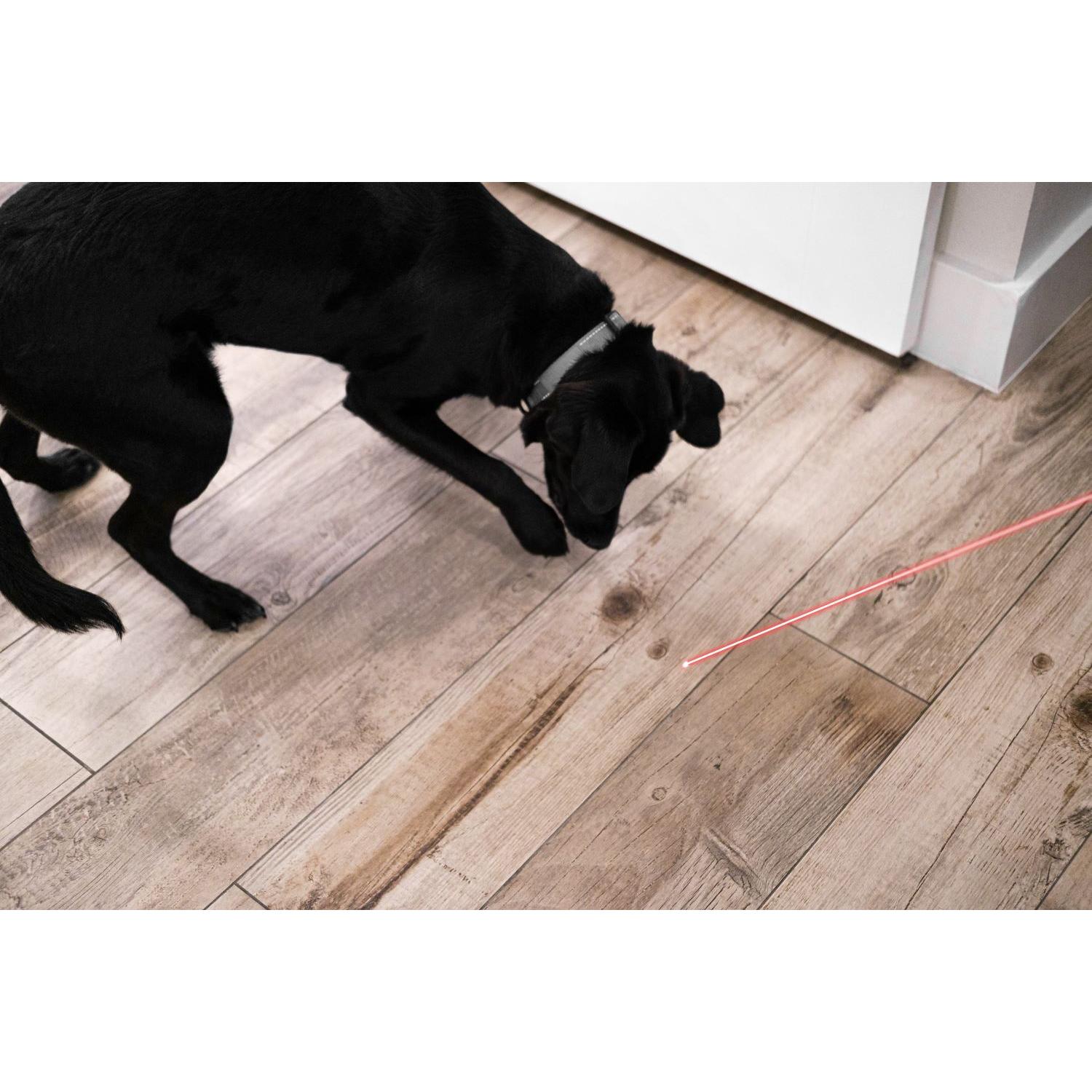 Hitt Brands Pet Laser Exerciser Key Chain Toy 2 Pack