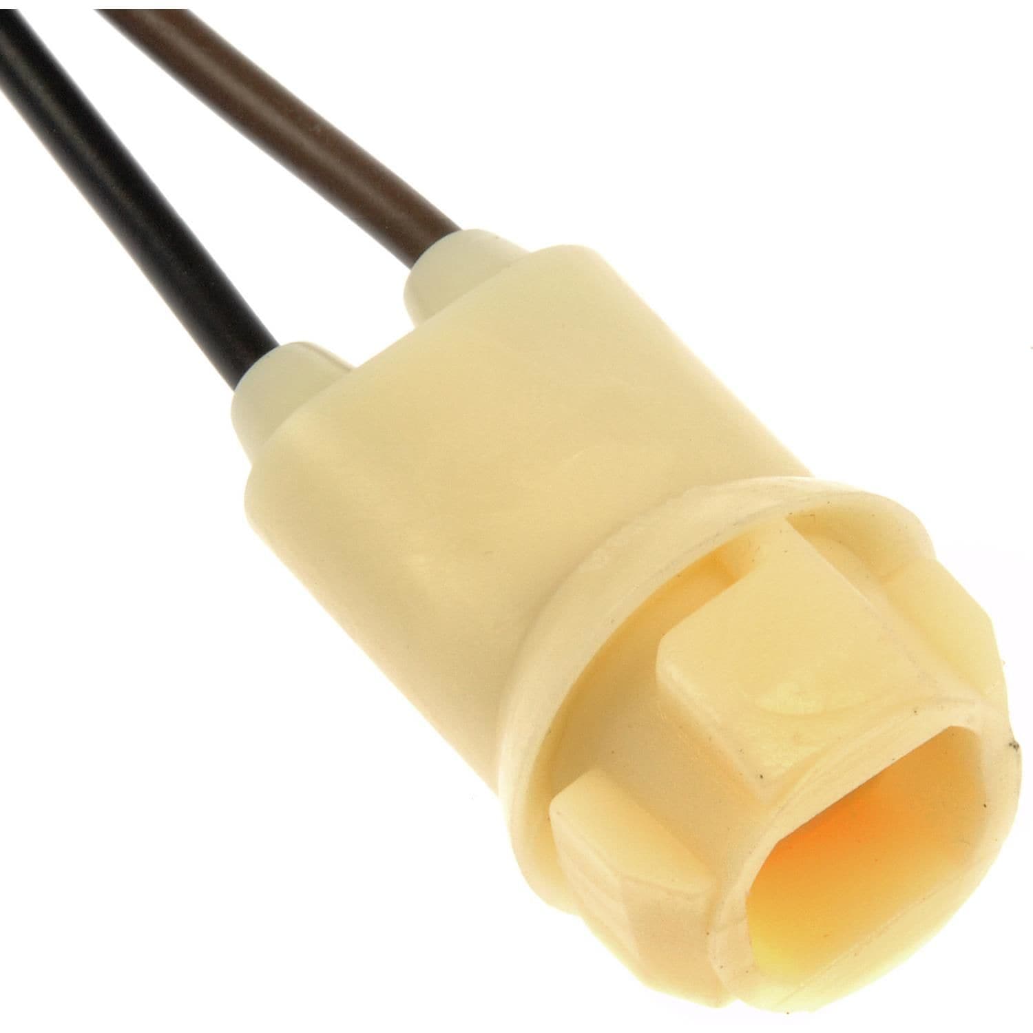 Dorman License Plate Light Socket 85816 | AutoZone