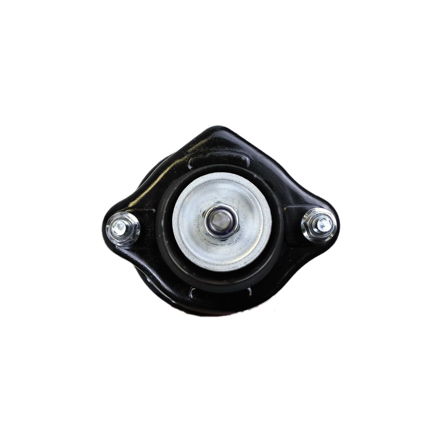 Duralast Suspension Strut and Coil Spring Assembly LS33-81032B
