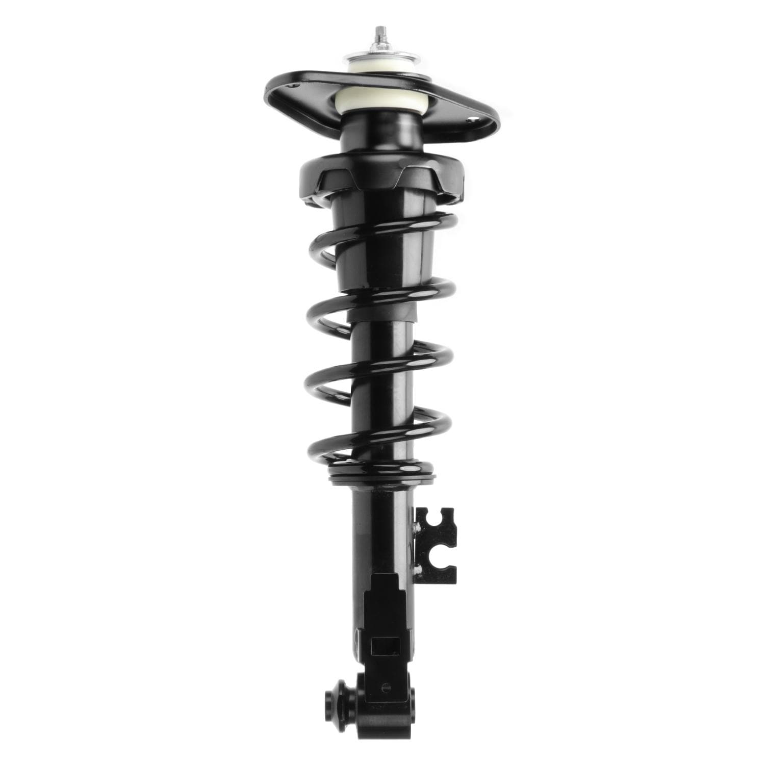 Duralast Suspension Strut and Coil Spring Assembly LS33-81341R