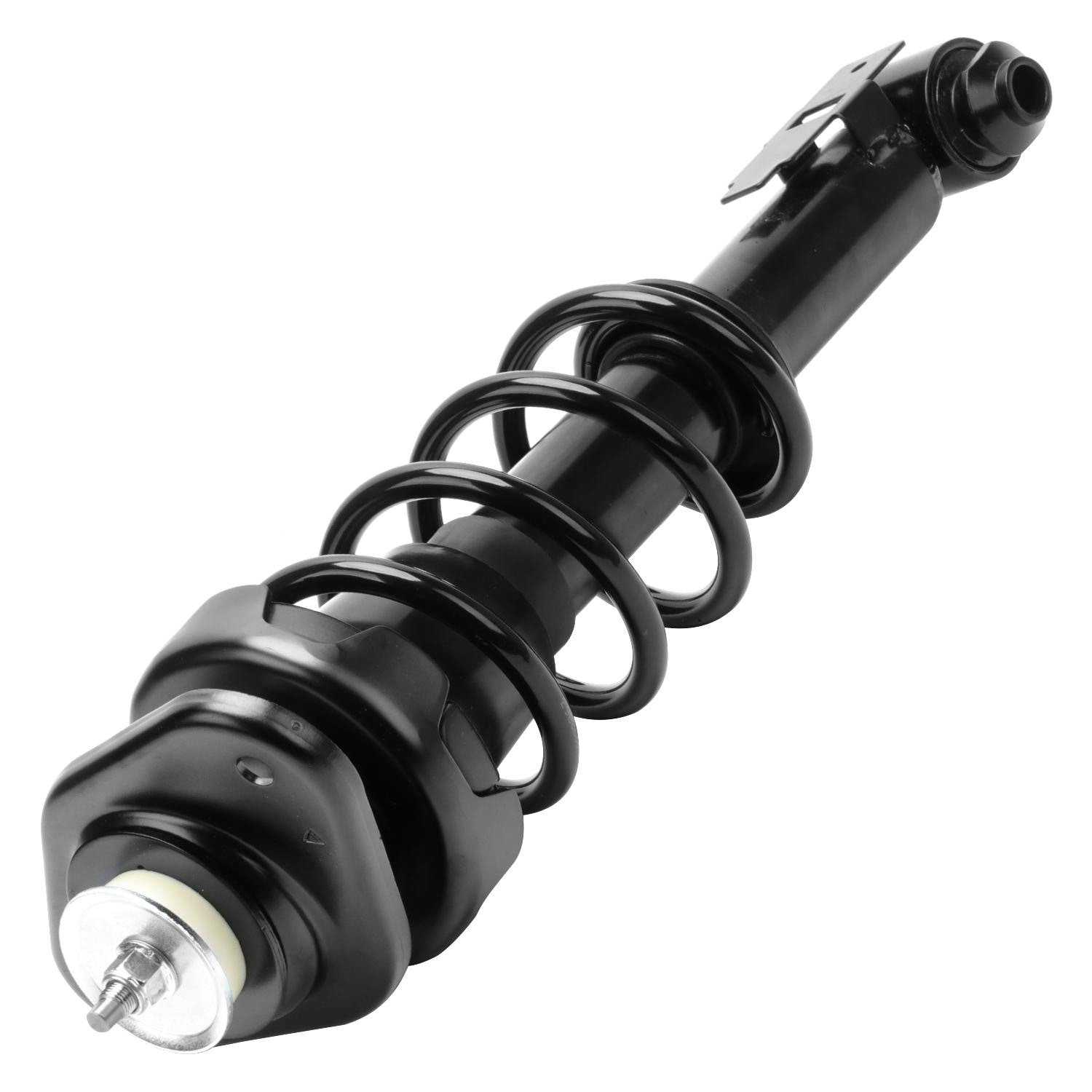 Duralast Suspension Strut and Coil Spring Assembly LS33-81341R
