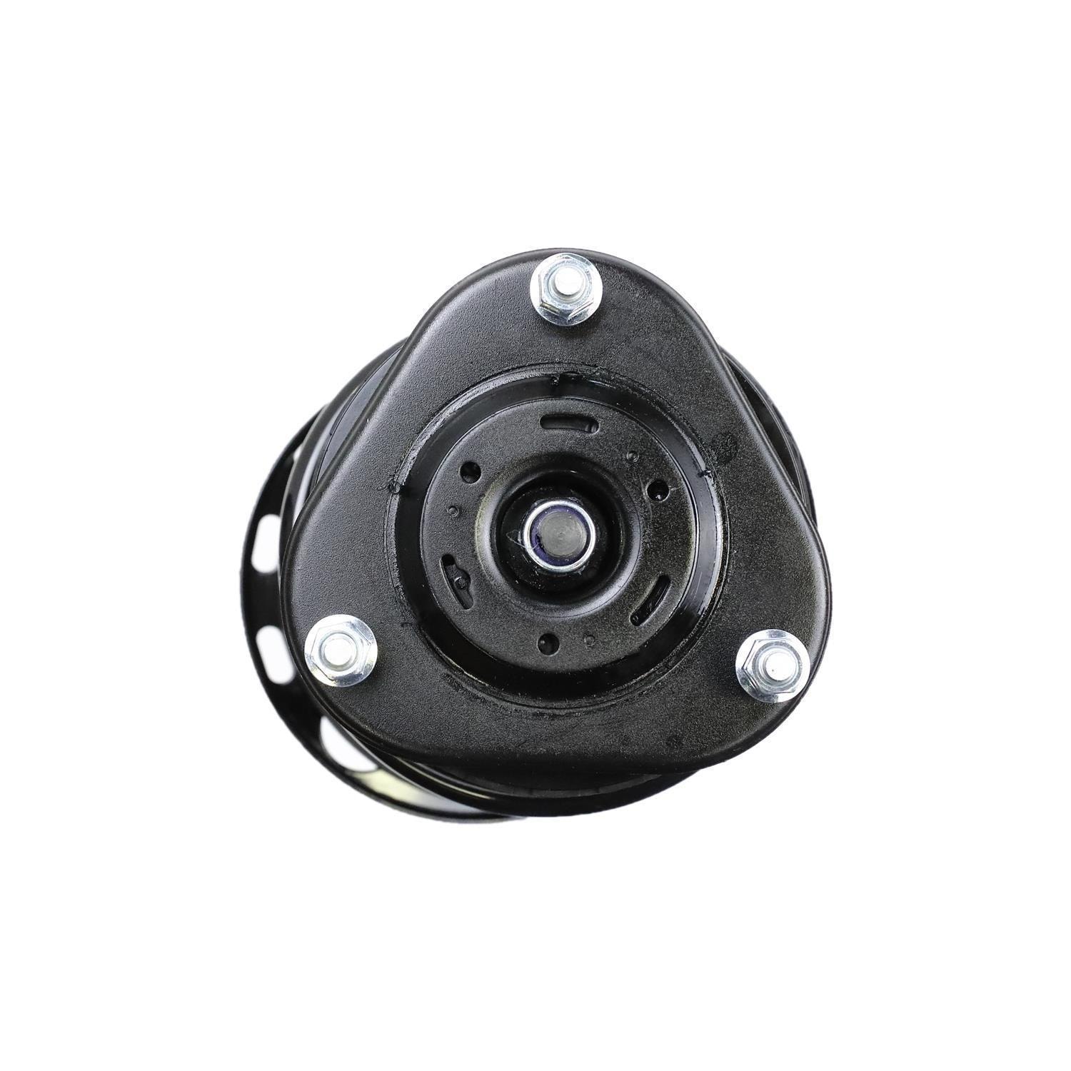 Duralast Suspension Strut and Coil Spring Assembly LS34-84131L