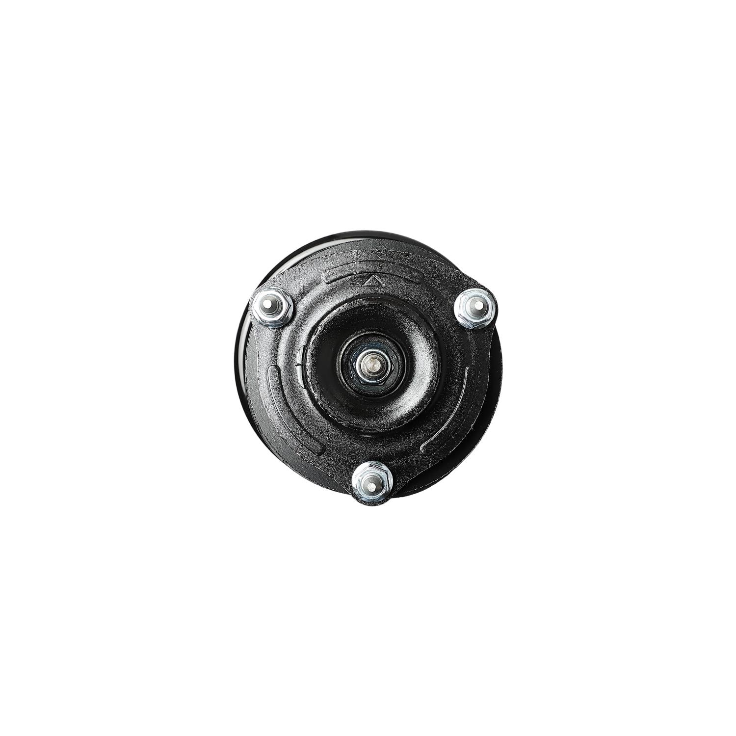 Duralast Suspension Strut and Coil Spring Assembly LS53-91181L