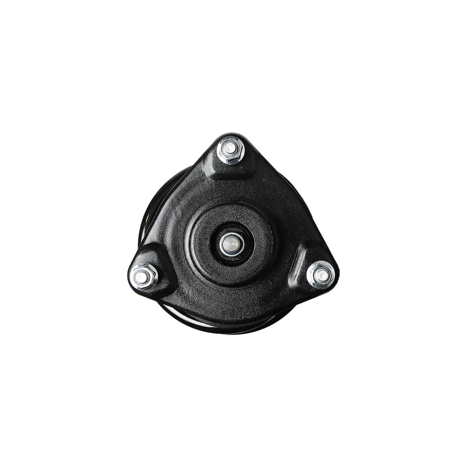 Duralast Suspension Strut and Coil Spring Assembly LS53-91341L
