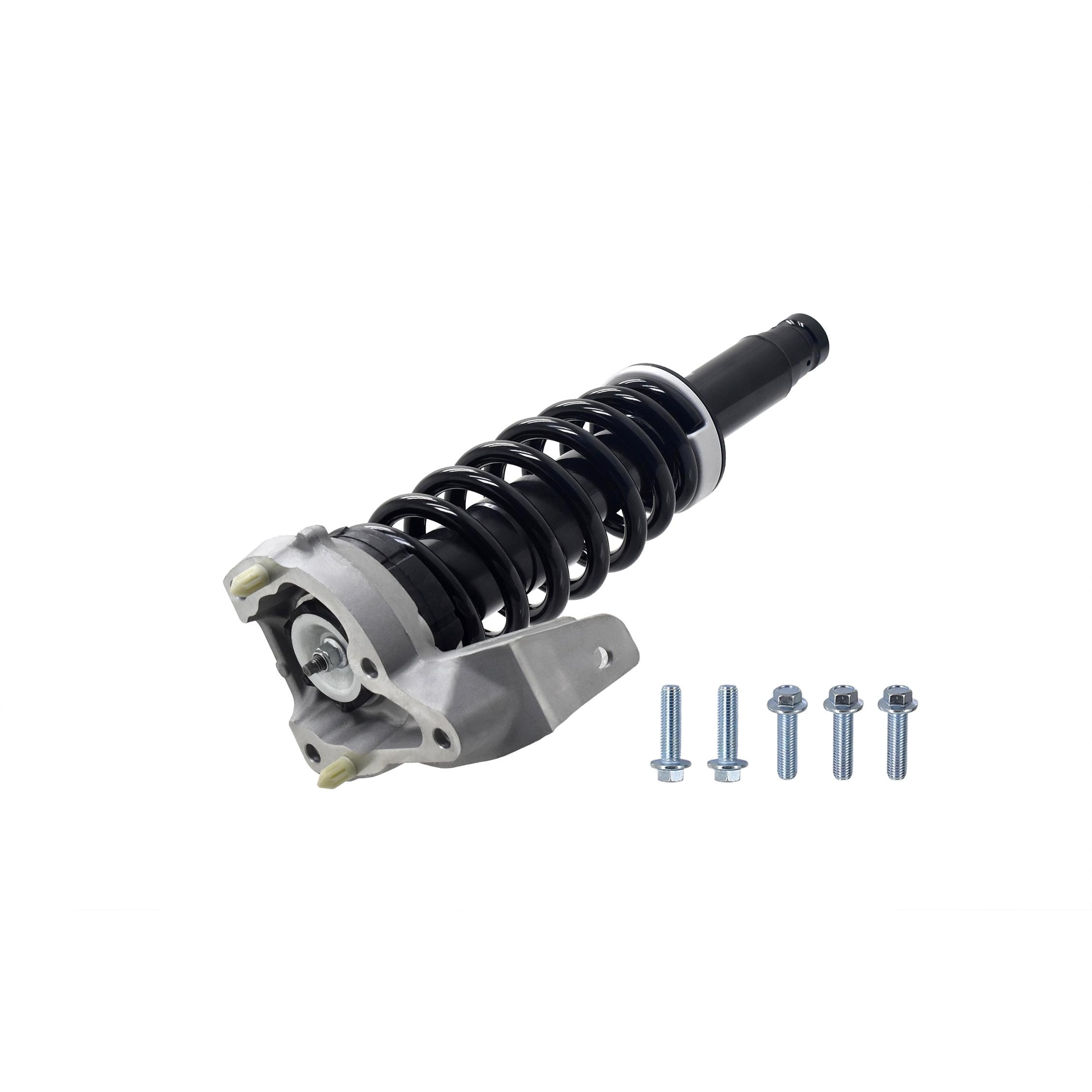 Duralast Suspension Strut and Coil Spring Assembly LS54-96381L