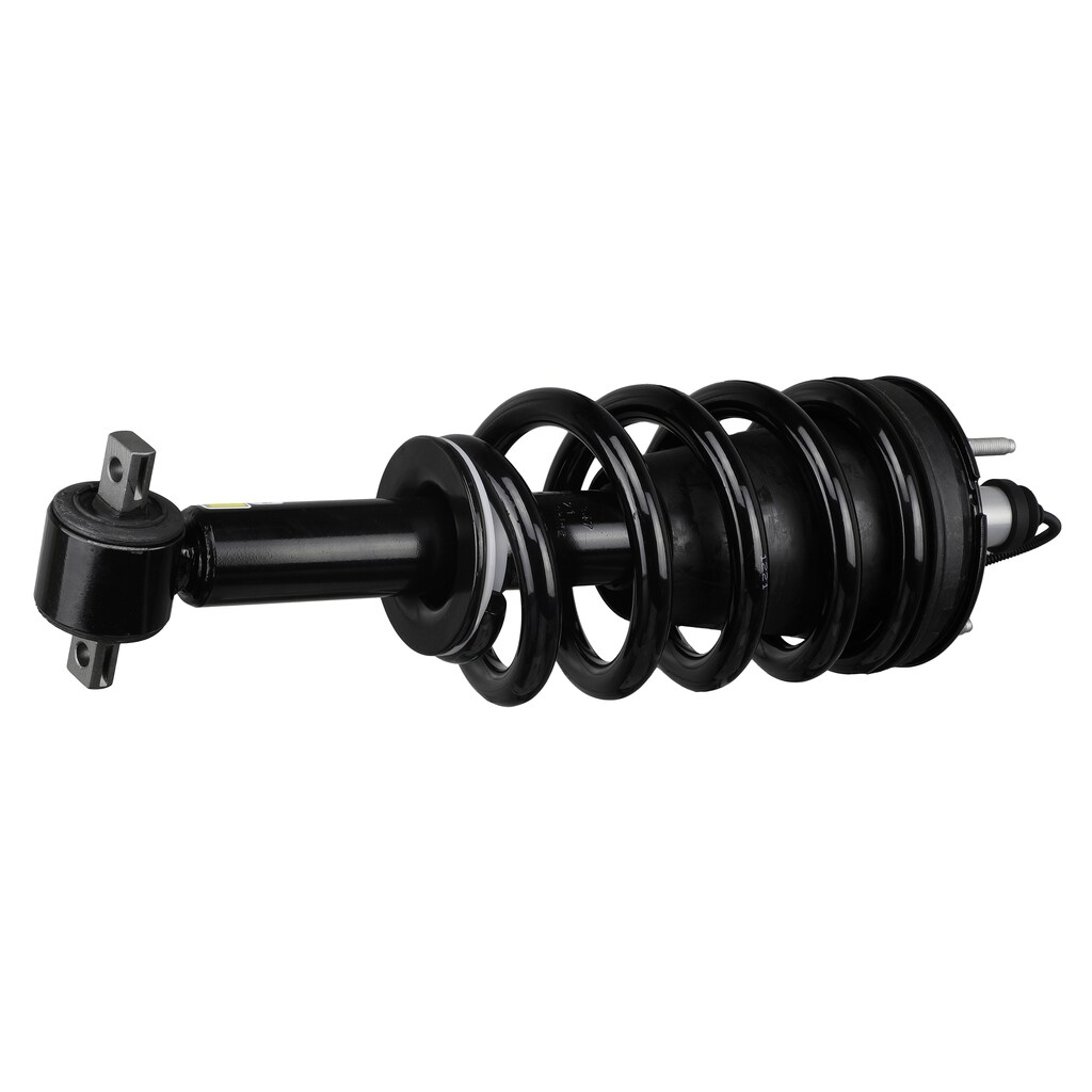 Arnott Industries Suspension Strut and Coil Spring Assembly SK-3354 ...