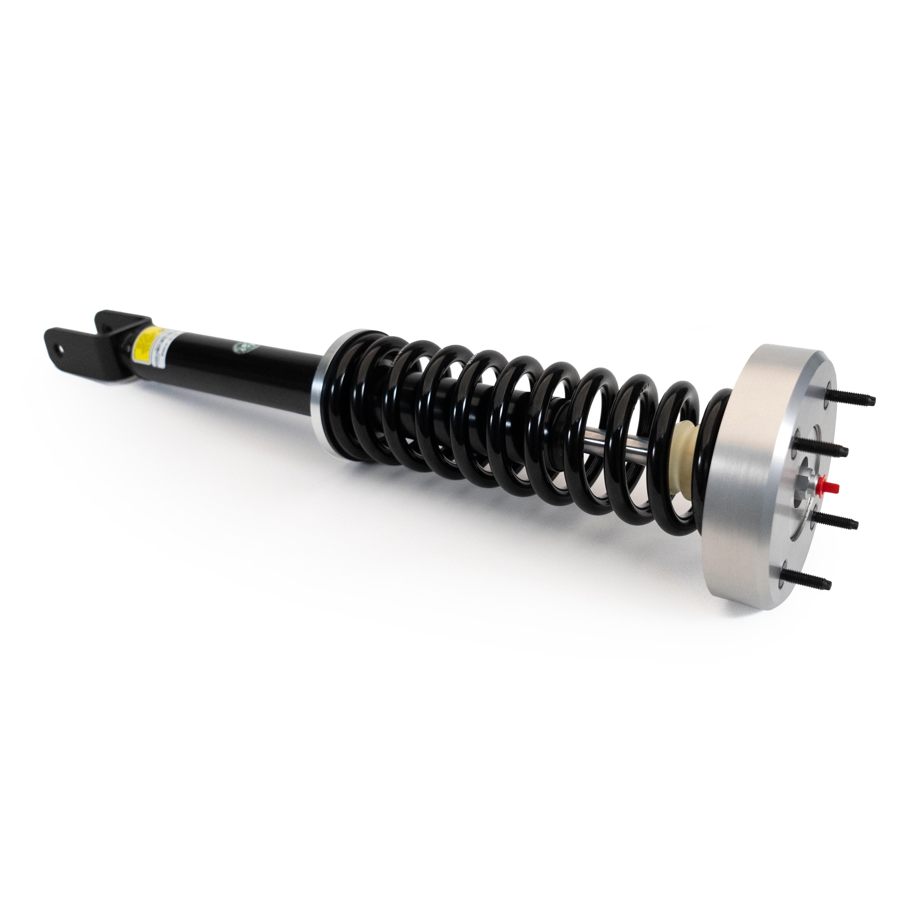 Arnott Industries Suspension Strut and Coil Spring Assembly SKE