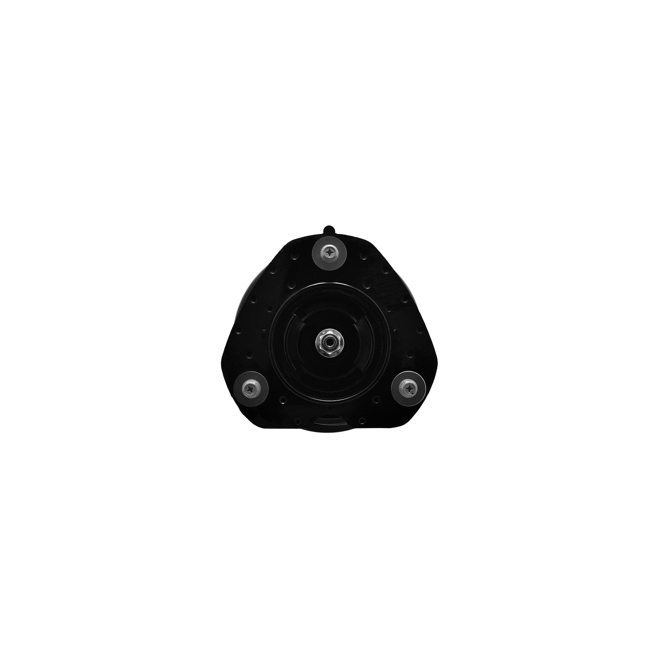 TotalPro Suspension Strut and Coil Spring Assembly TPL34-84391R