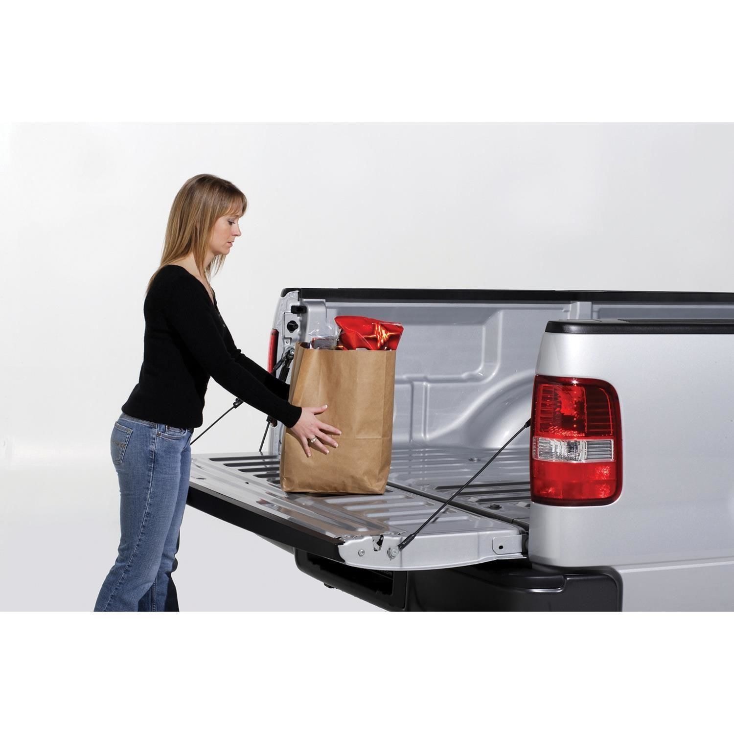 DeeZee Lift Support DZ43200 | AutoZone