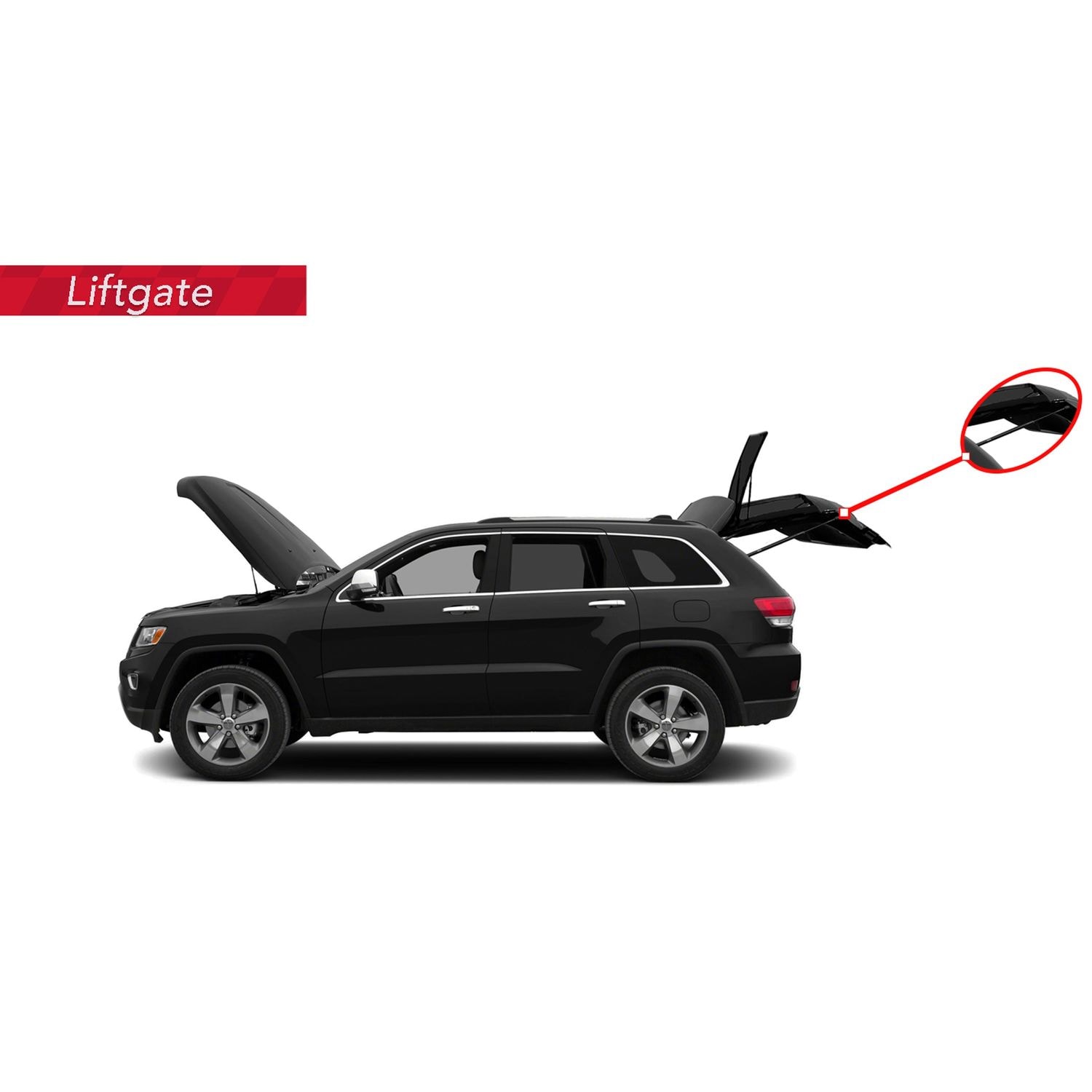 Duralast Liftgate Lift Support DL10337C | AutoZone