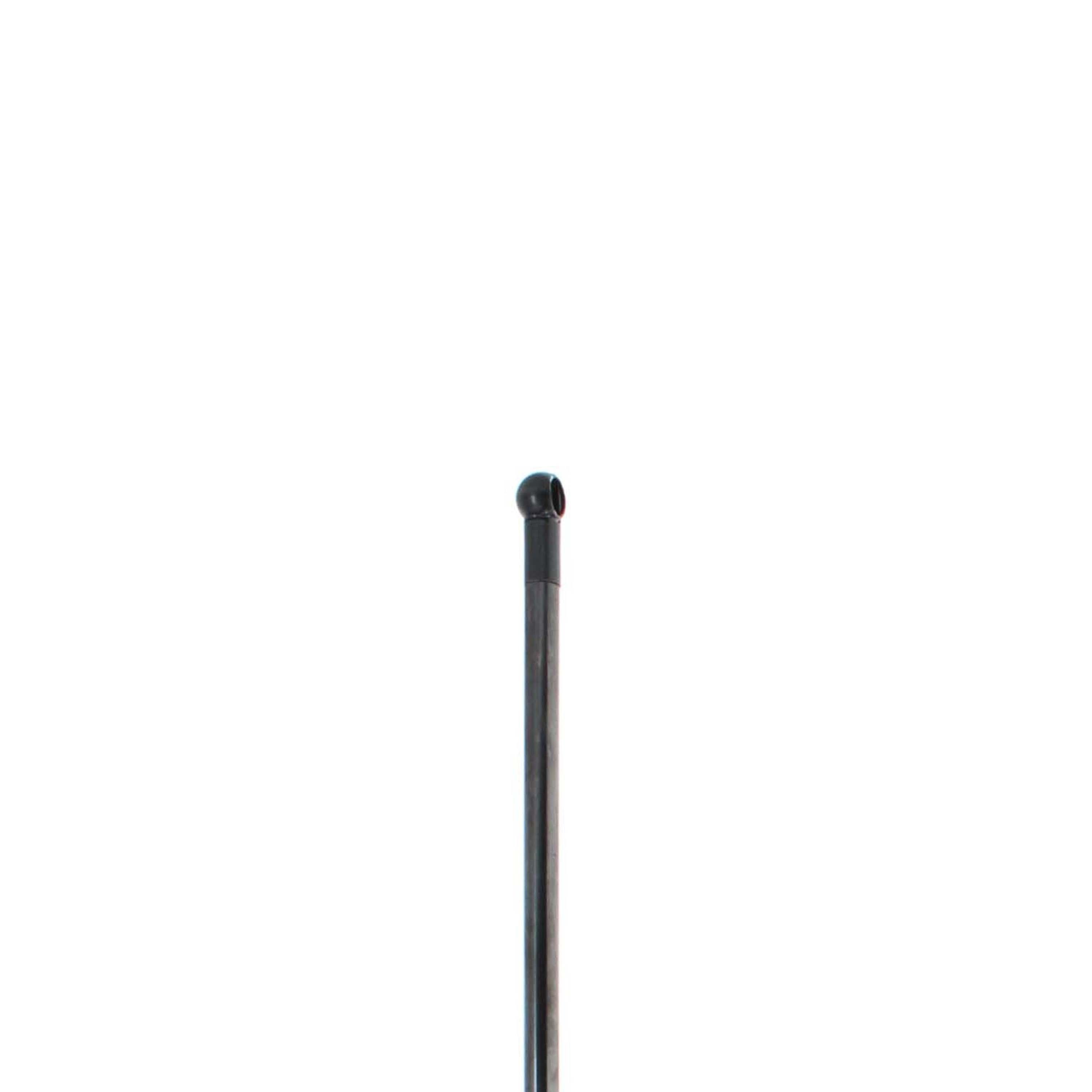 Duralast Liftgate Lift Support DL12038 | AutoZone