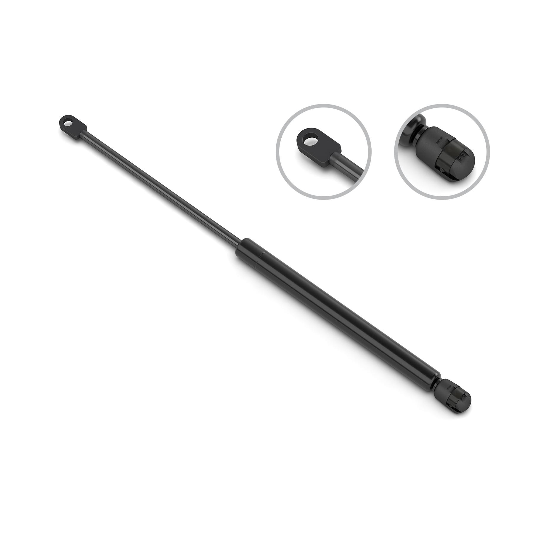 たまバリ島バンブーシェルフロアスタンド 2個セット通常55,000円が Stabilus Liftgate Lift Support 2B-185026 | AutoZone