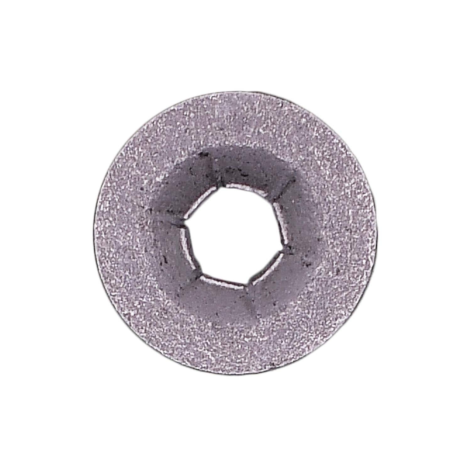 Auveco Push Nut 8863 | AutoZone