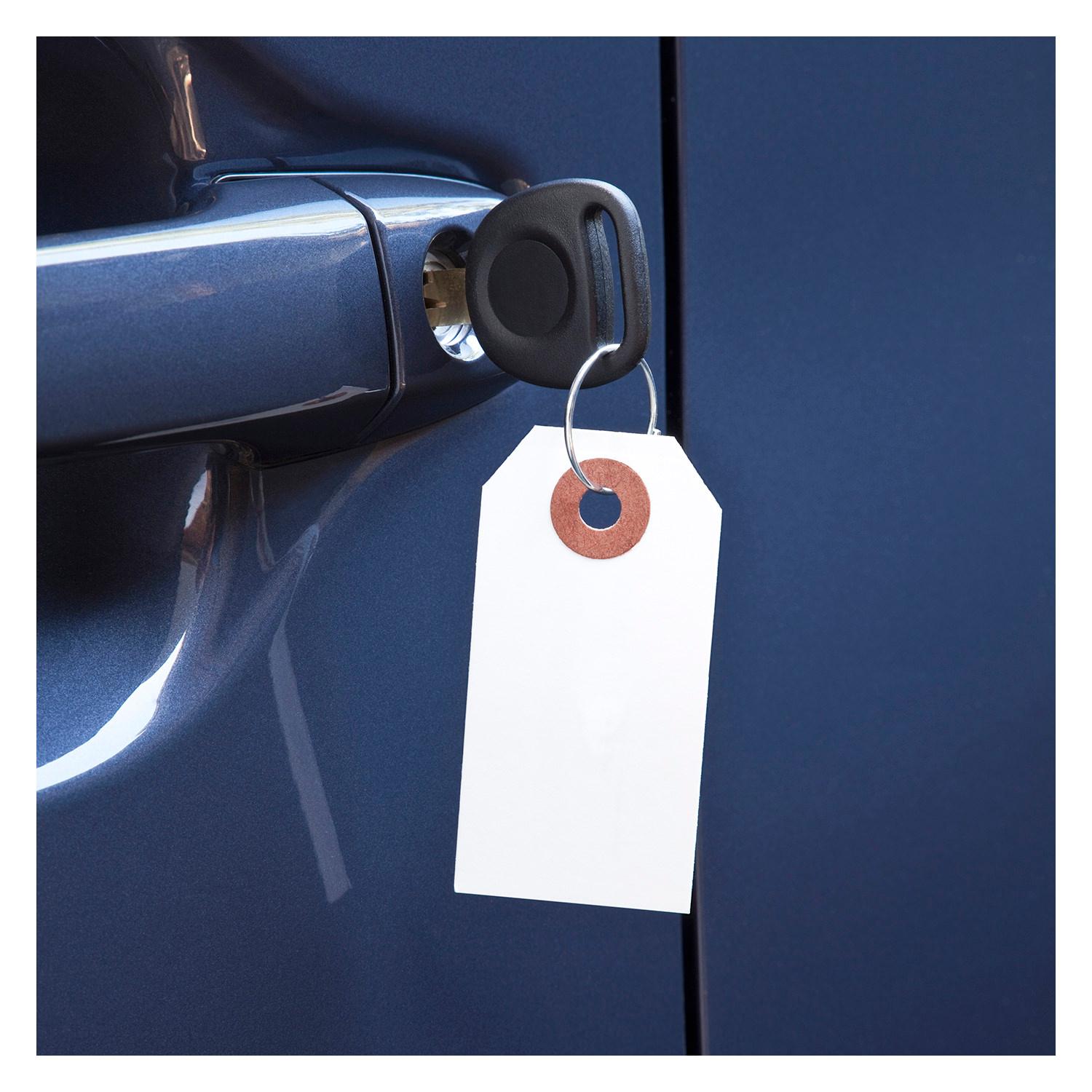Key Tag Car Spring Slip-N-Grip Key Tag SNGFBP983313 | AutoZone