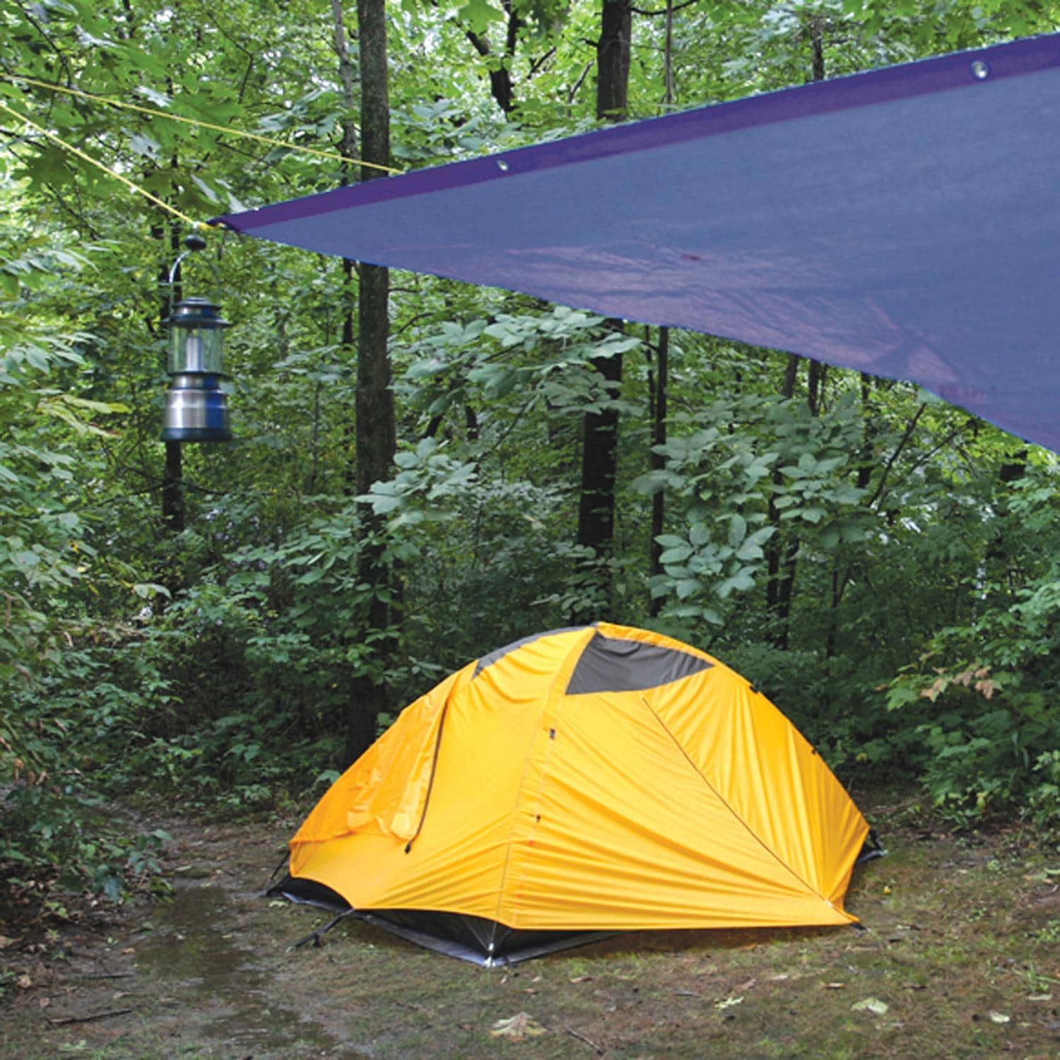Surebilt 8ft X 10Fft Blue Tarp Cover AZ6004