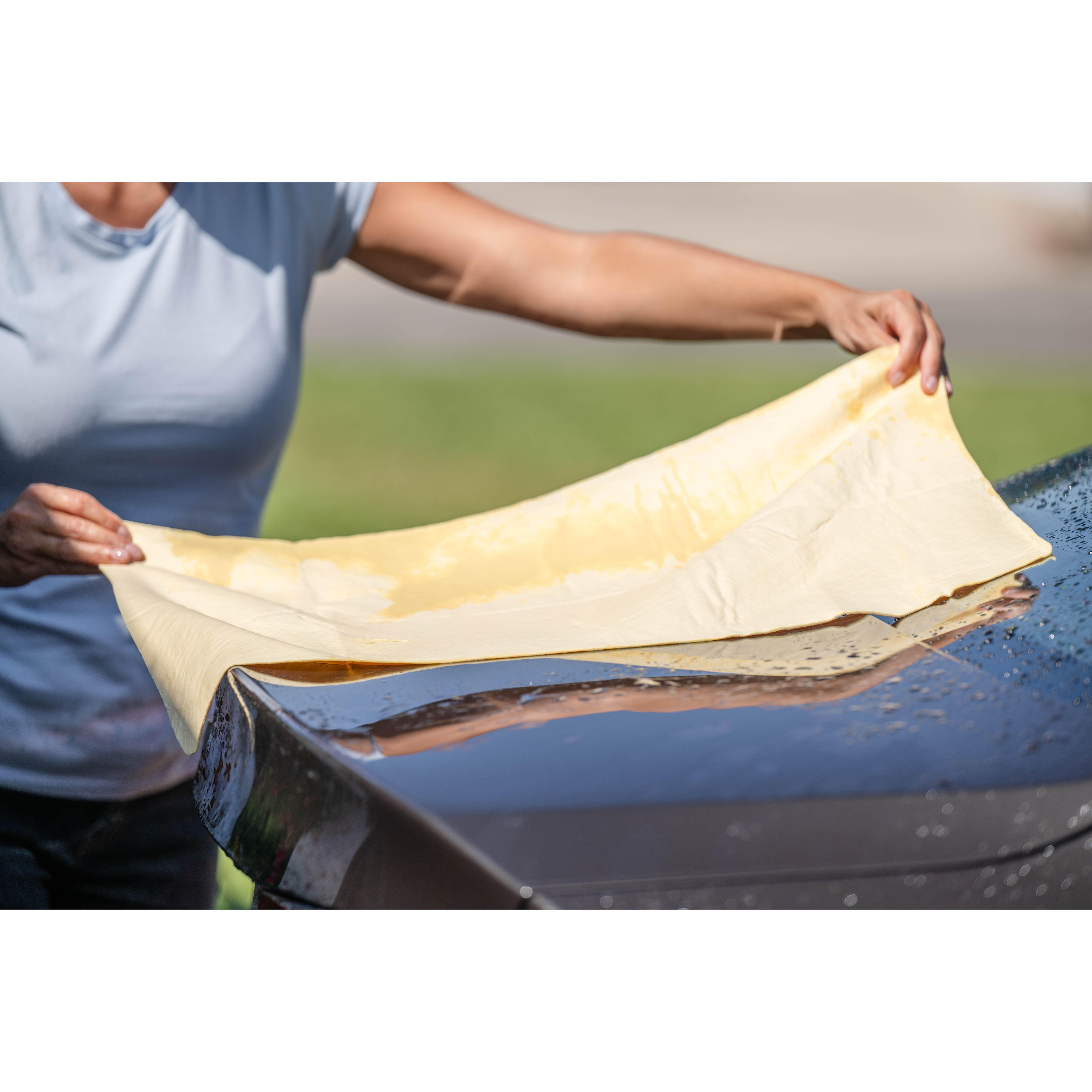 ProElite Ultra-Absorbent Synthetic Chamois | AutoZone