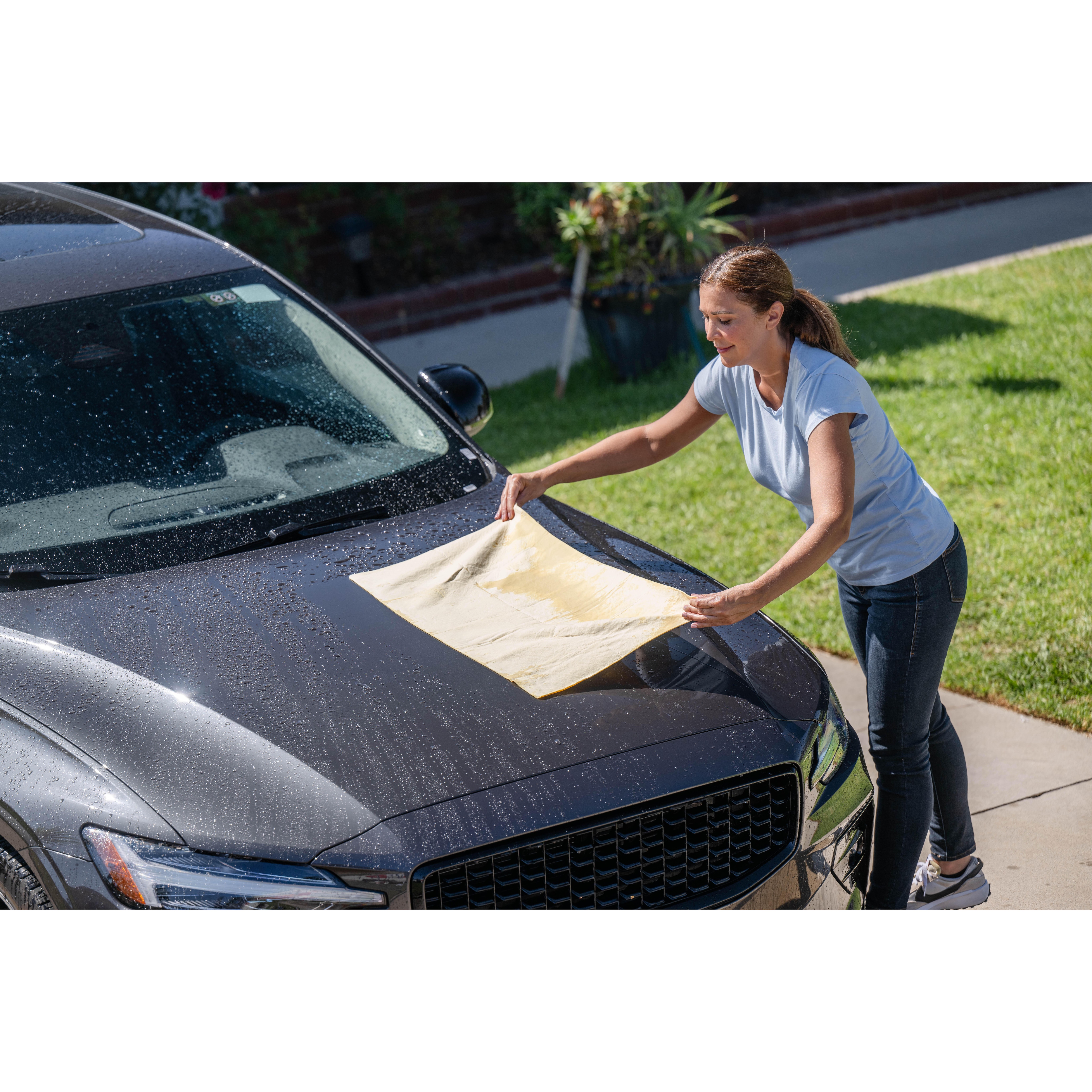 ProElite Ultra-Absorbent Synthetic Chamois | AutoZone