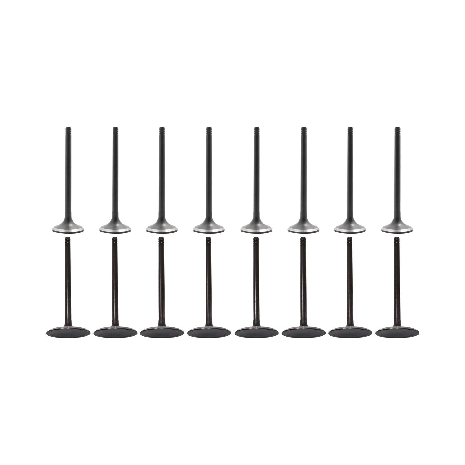 DNJ Engine Exhaust / Intake Valve Kit VK161163 for Toyota Prius C