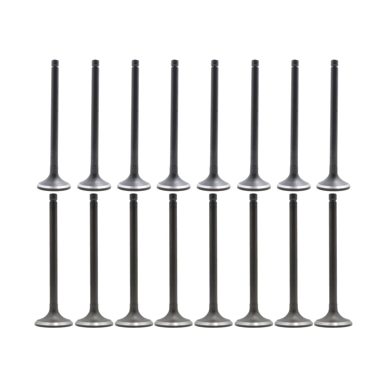 DNJ Engine Exhaust / Intake Valve Kit VK16212A for Toyota Prius C