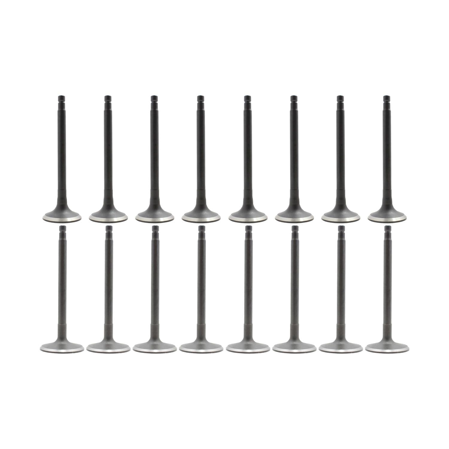 DNJ Engine Exhaust / Intake Valve Kit VK16624A for Toyota Prius C