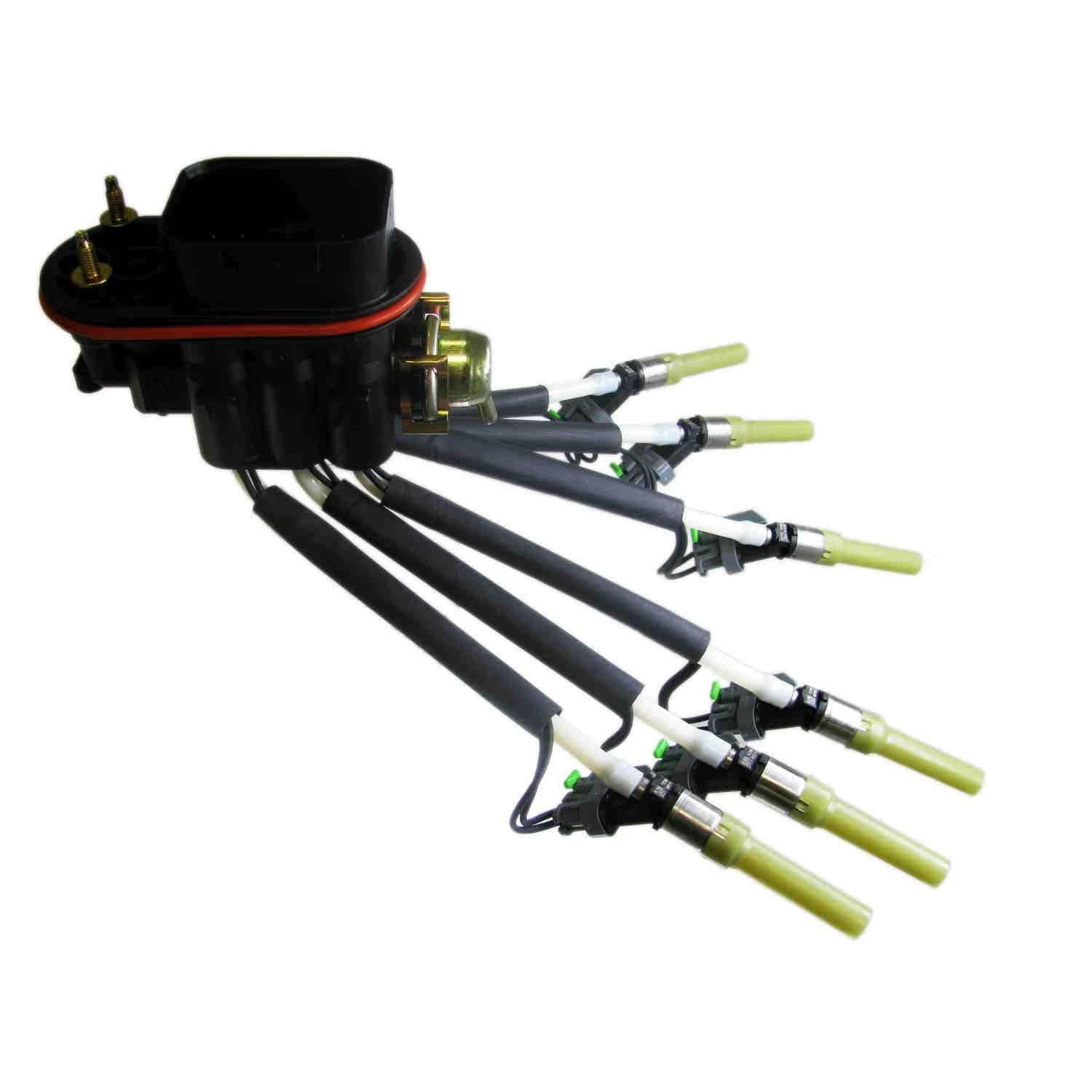 Aus Injection Central Port Injection Assembly CP-10722-6 | AutoZone