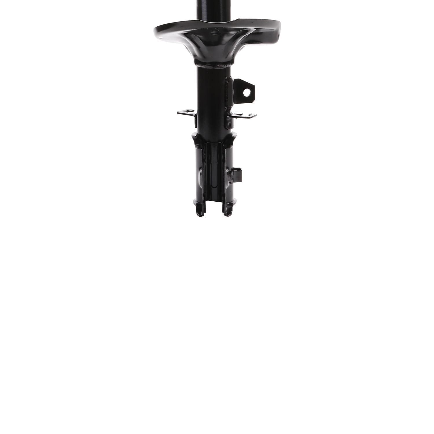 Duralast Suspension Strut ST34-16531R | AutoZone