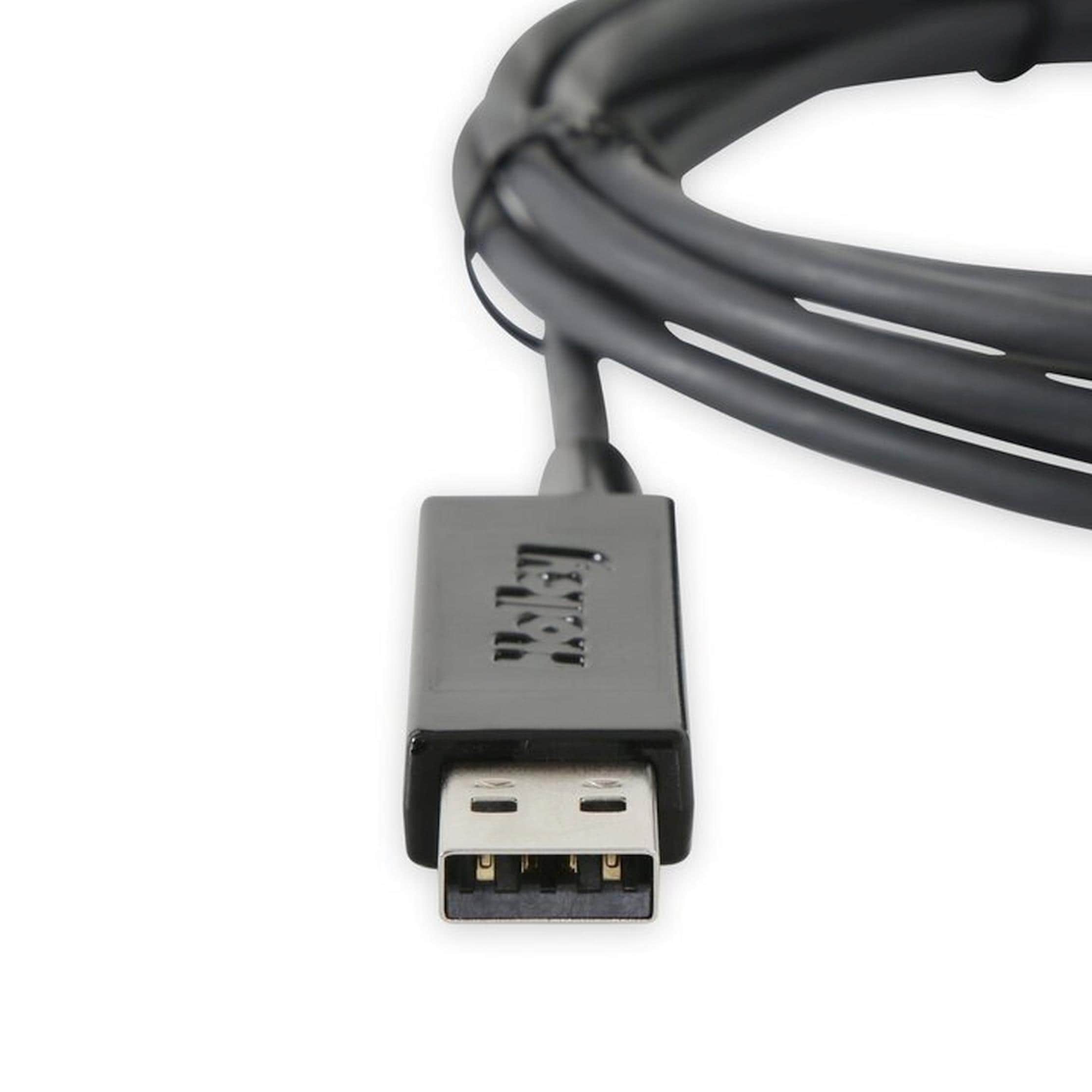 Holley Sniper EFI USB Data Cable 558-495 | AutoZone